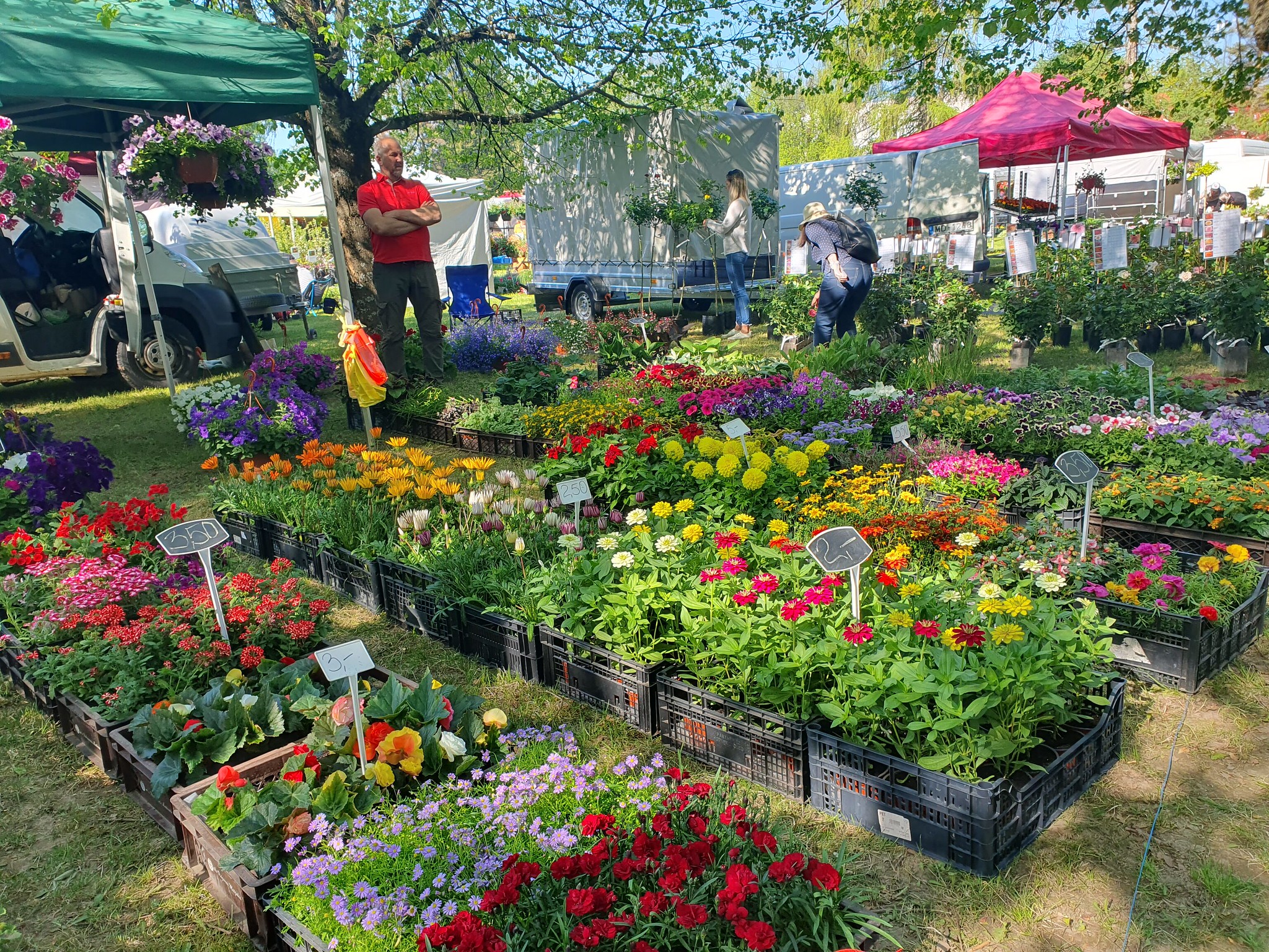 Türi Flower Fair in Central Estonia during the spring