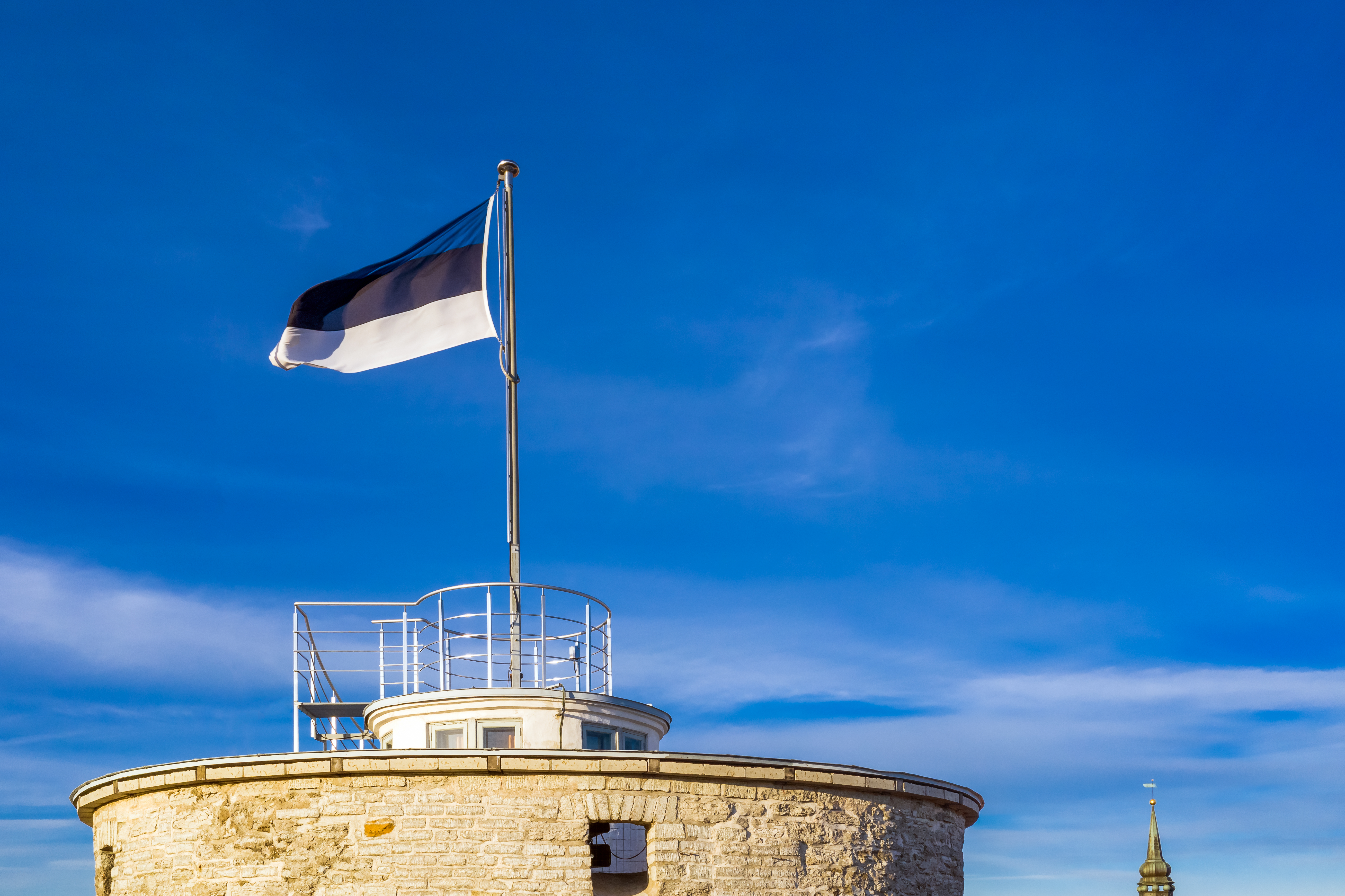 Estonian flag and blue sky