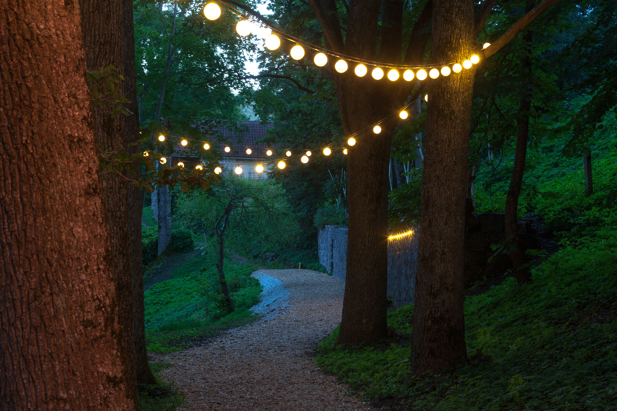 Nighttime on Kassisaba Street in 
Viljandi with fairy lights