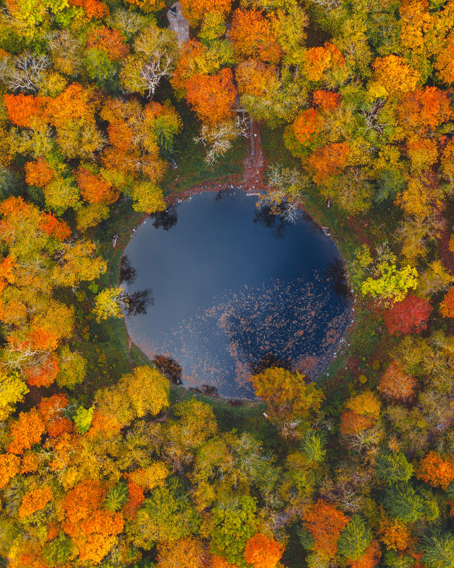 Kaali Crater on Saaremaa surrounded by autumn foliage