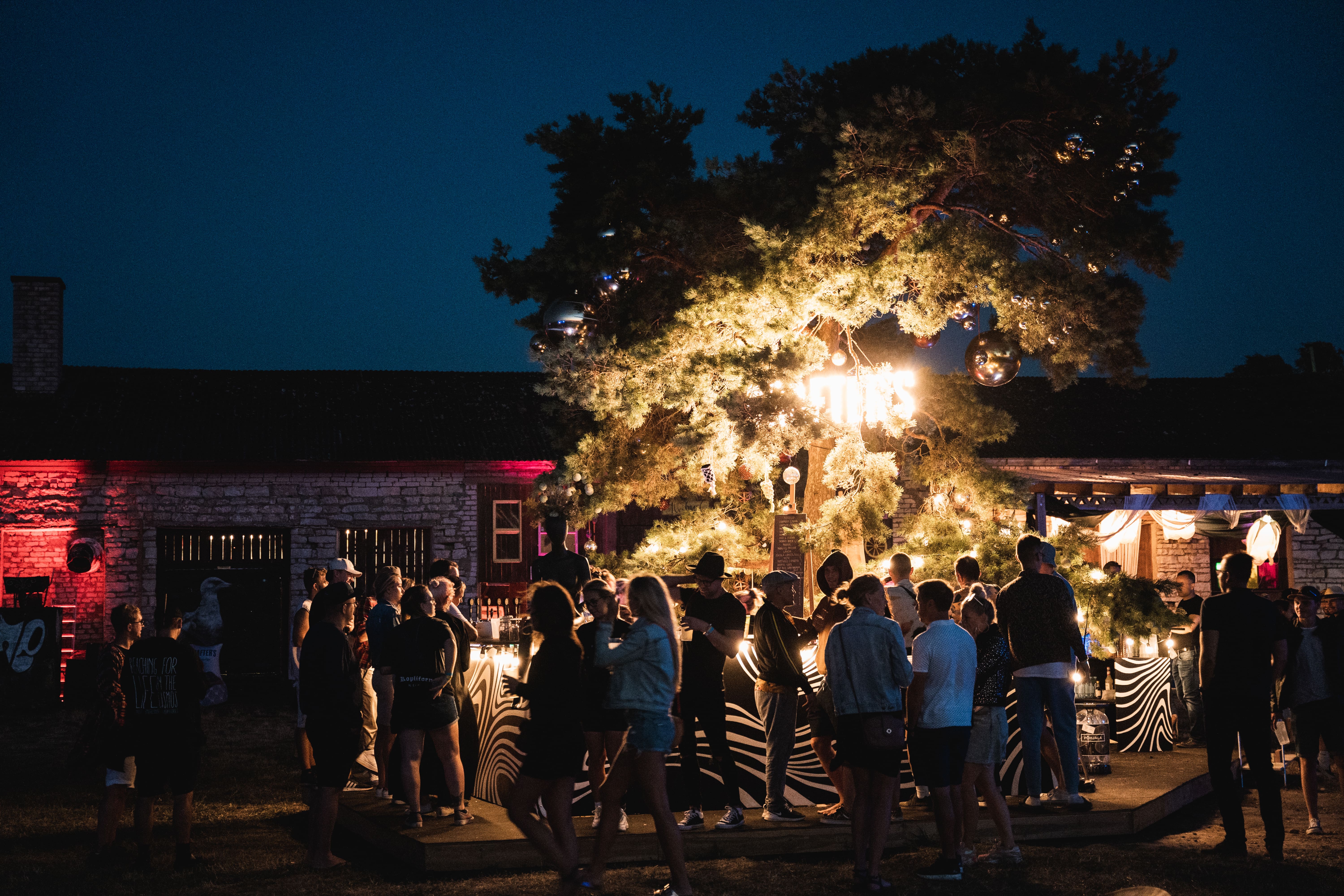 A crowd of people at I Land Sound festival on Saaremaa