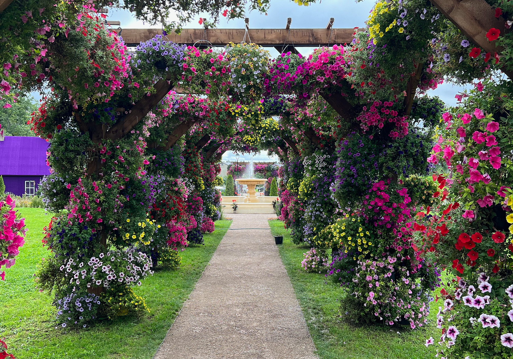 Alices Wunderland auf Schloss Wagenküll