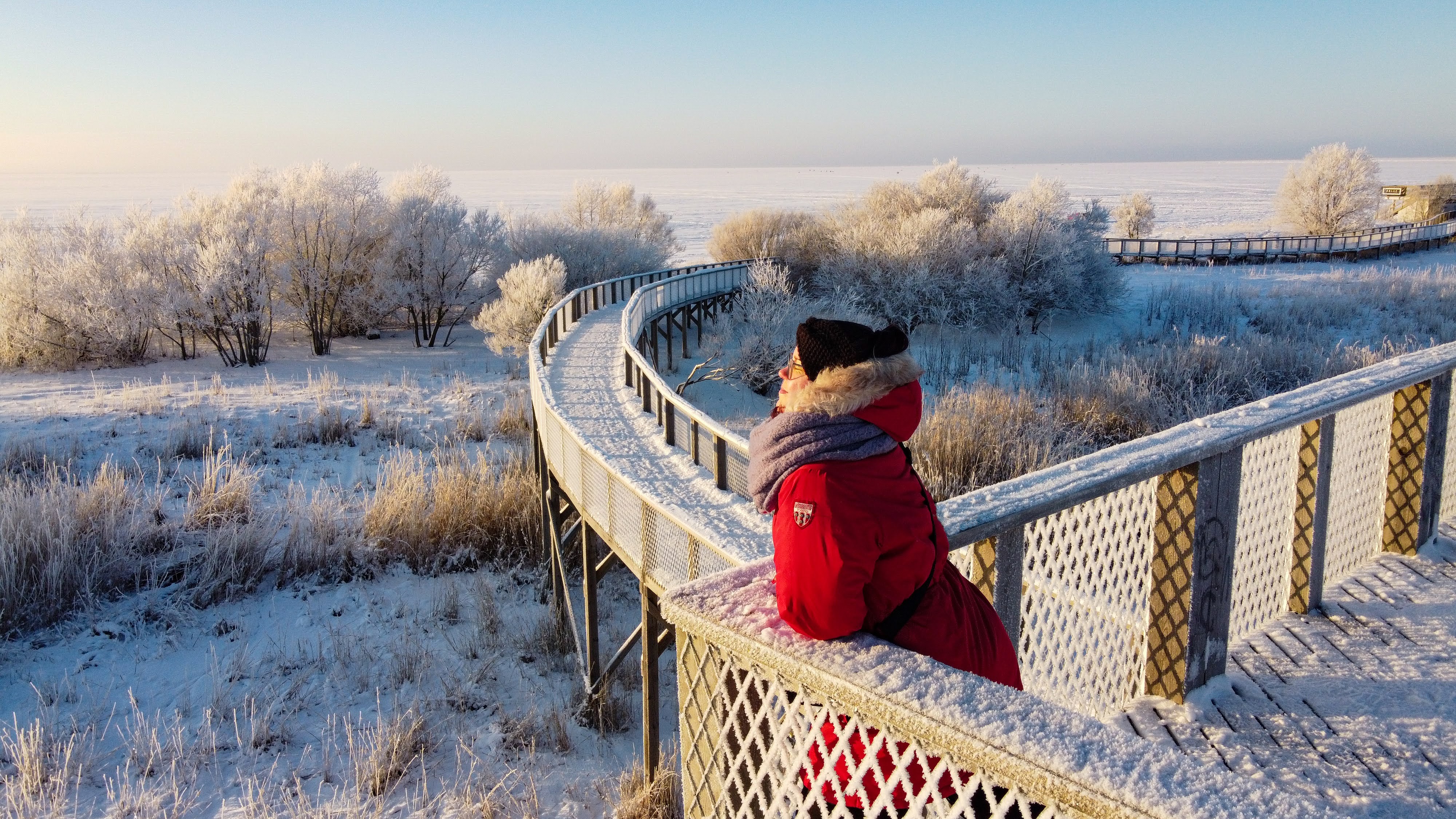 Pärnu coastal meadow hiking trail