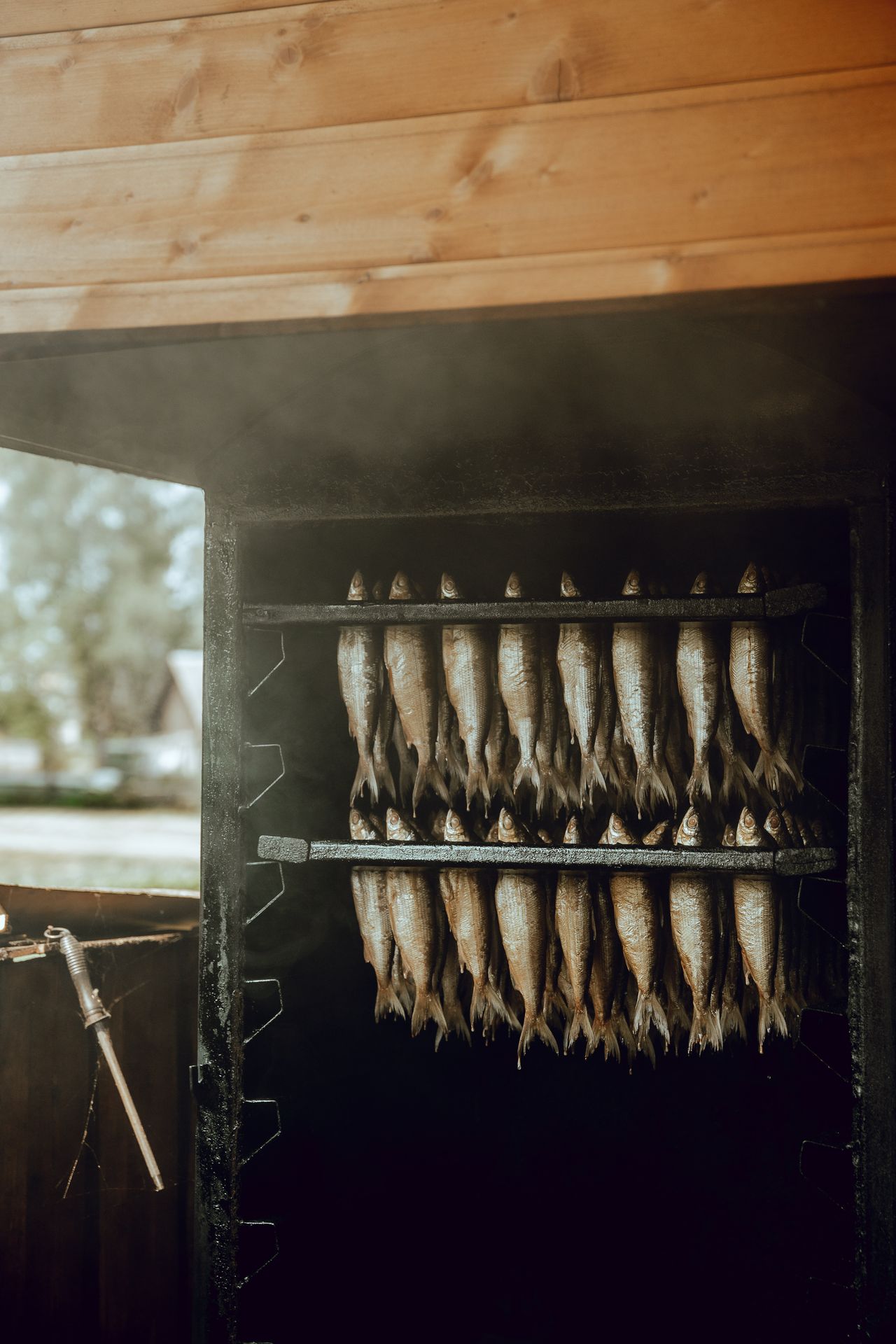 Peipsijärven kaloja savustuskaapissa