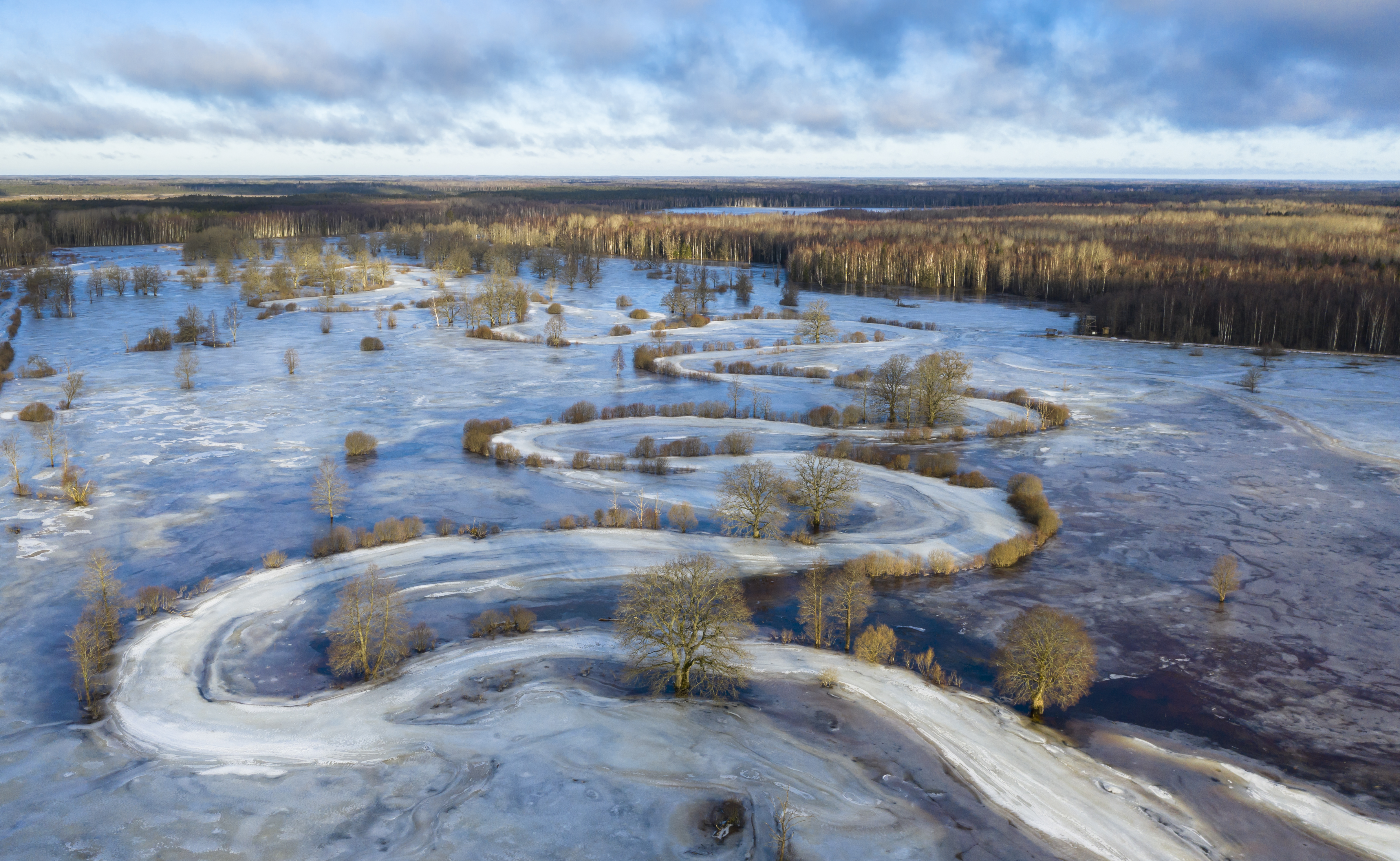 Soomaa National Park