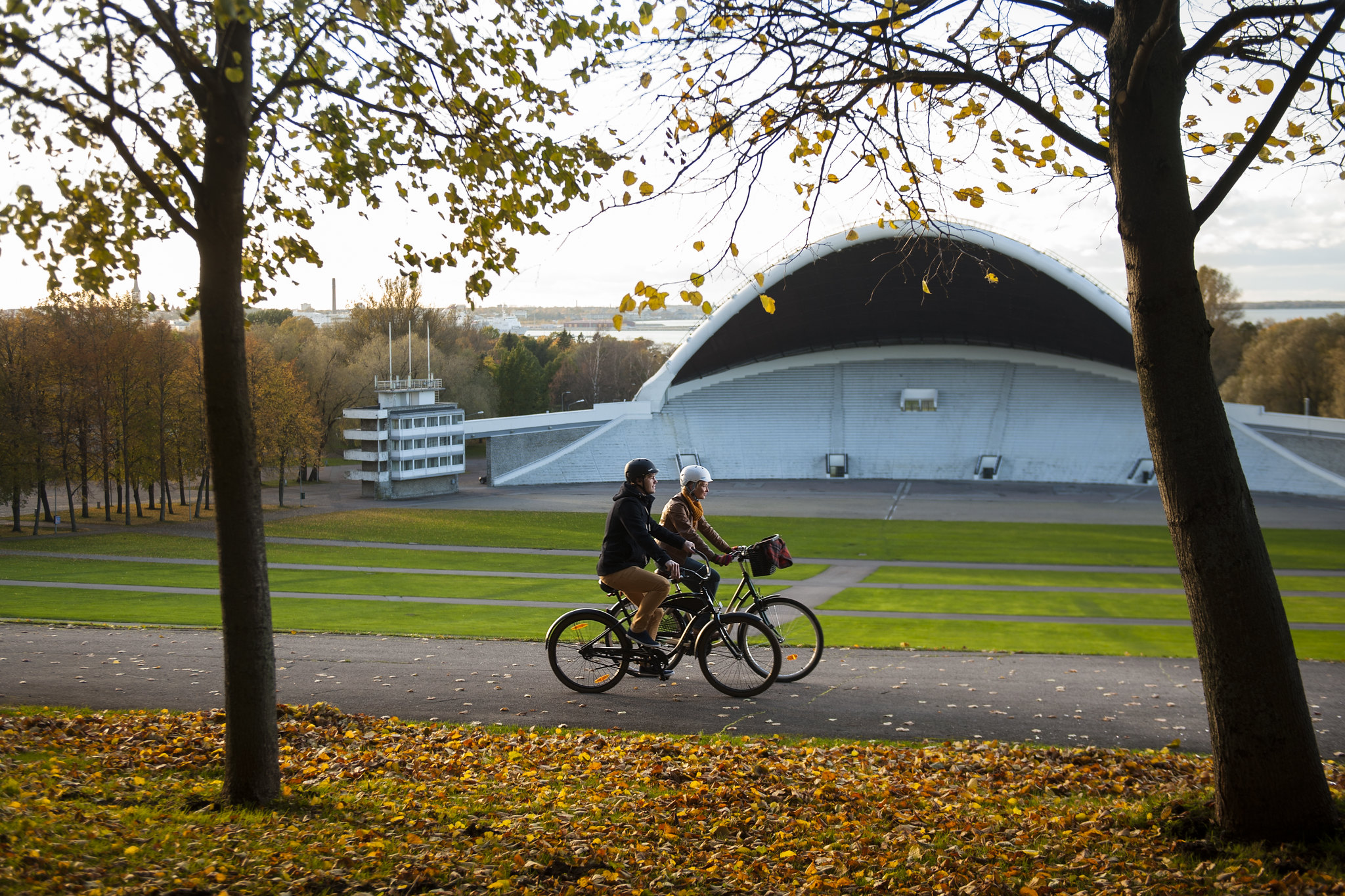 Ratturid sügisel Tallinna lauluväljakul