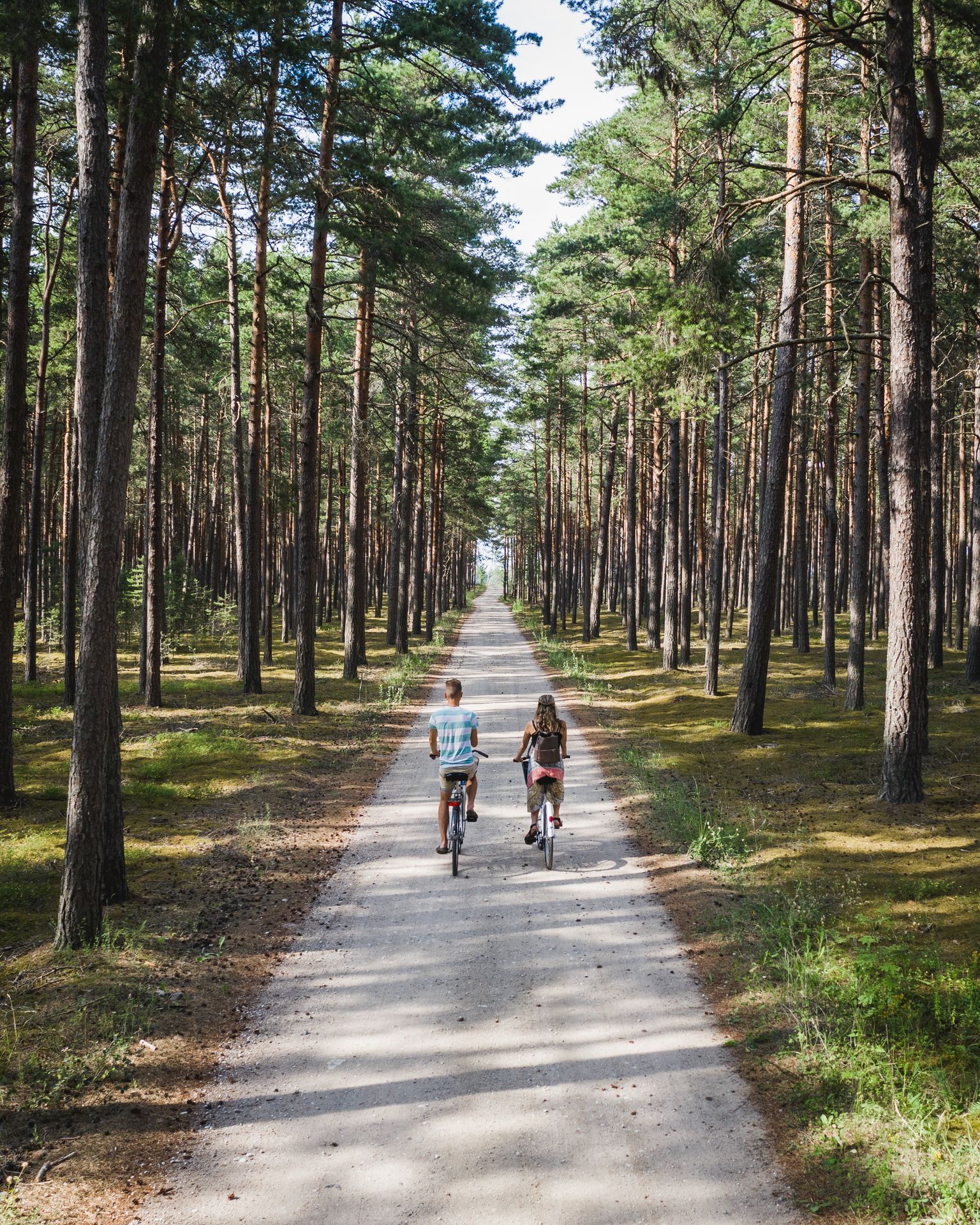 Fahrradtour durch den Wald