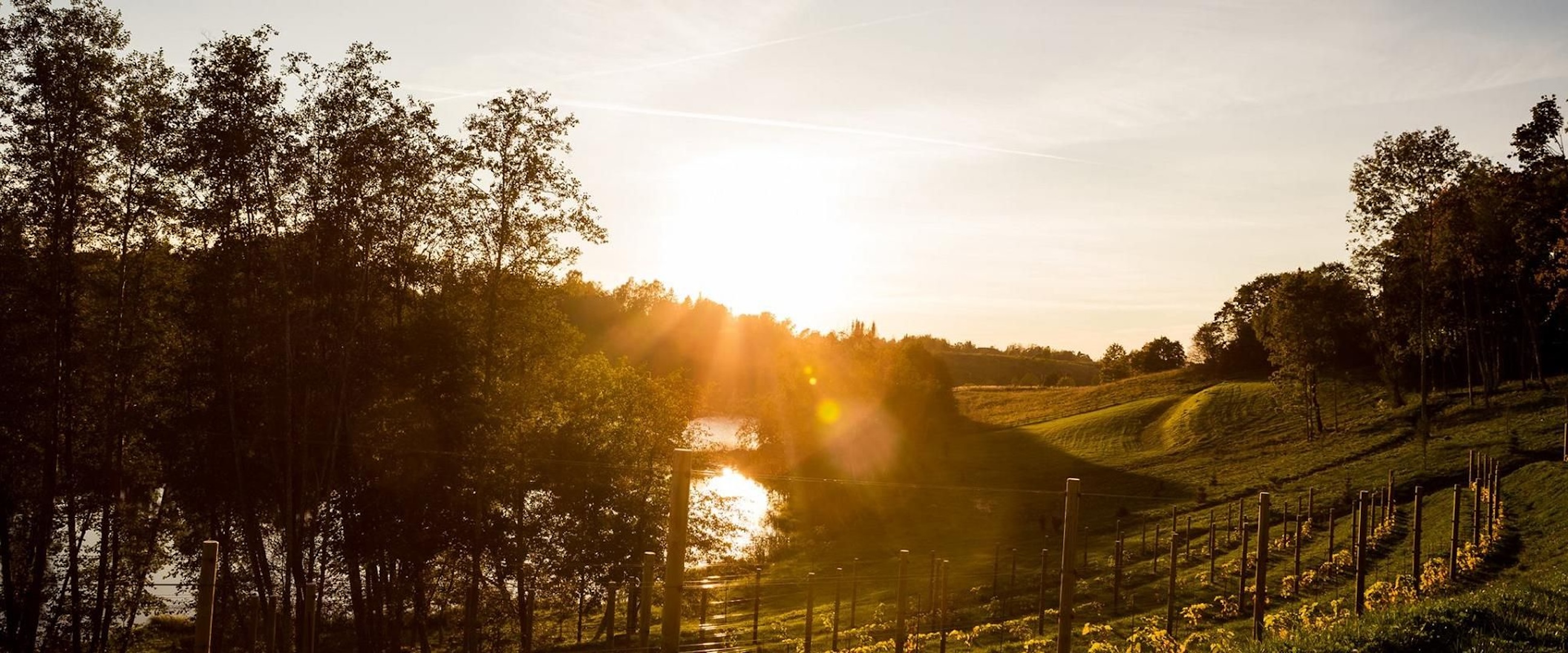 Murimäe Winery hills near Otepää in South Estonia