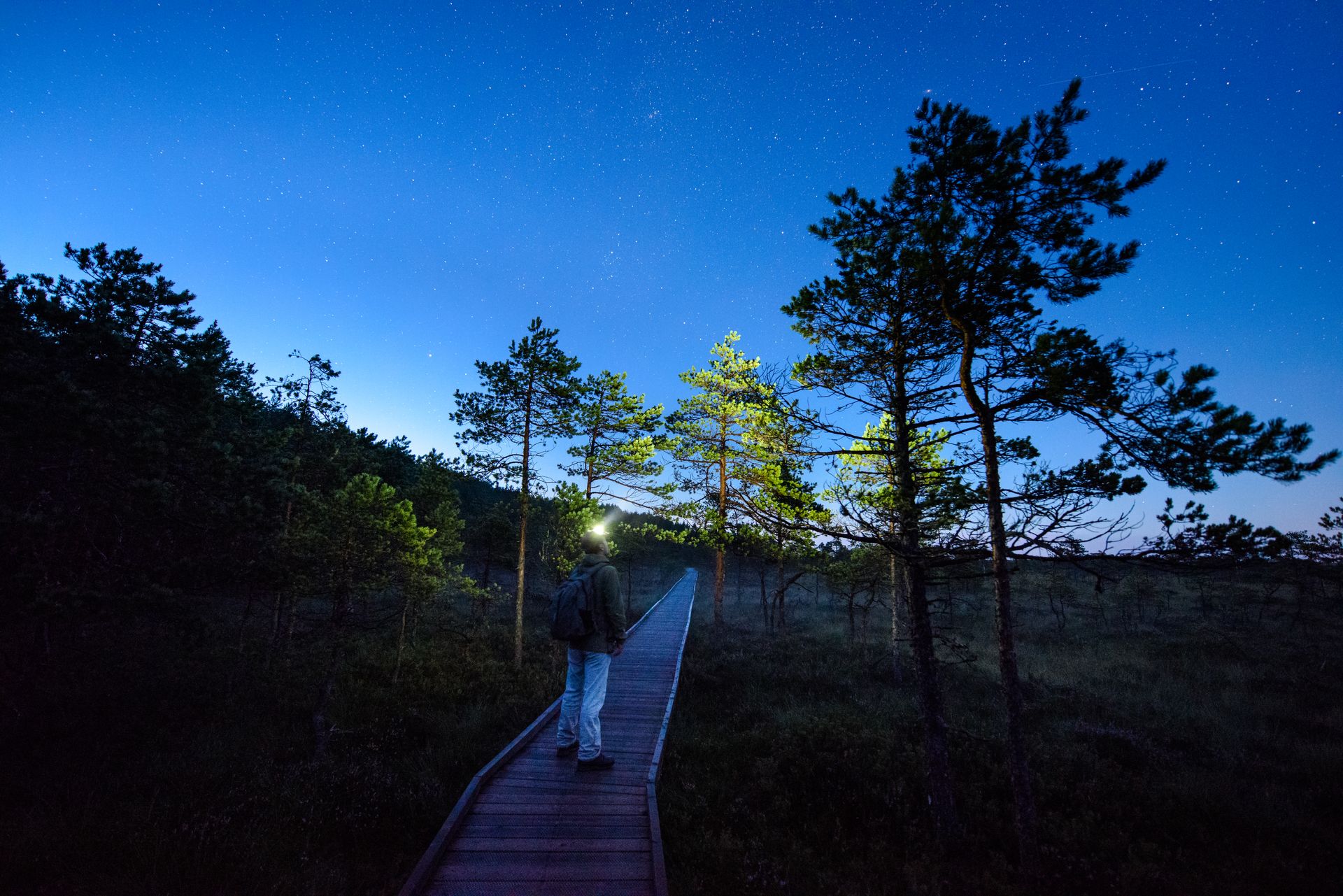 Turismi regionaalse mõju analüüs