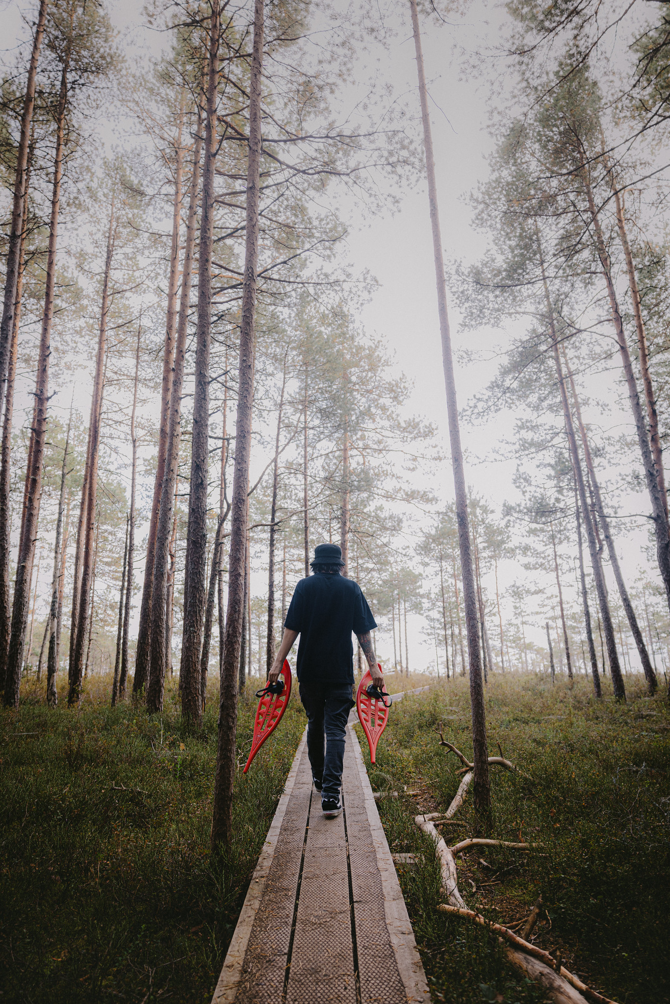 Man holding bogshoes walks on boardwalk in Estonia