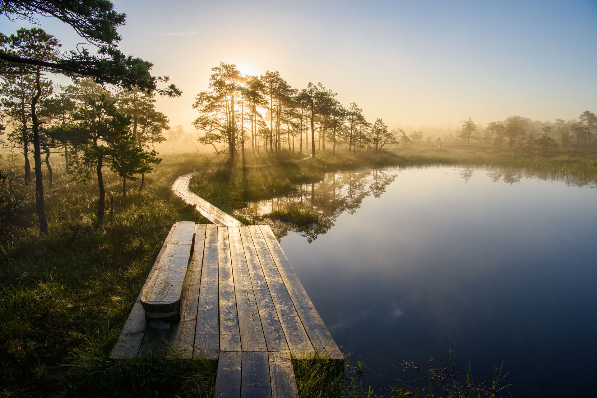 Bog lake in the morning Soomaa National Park