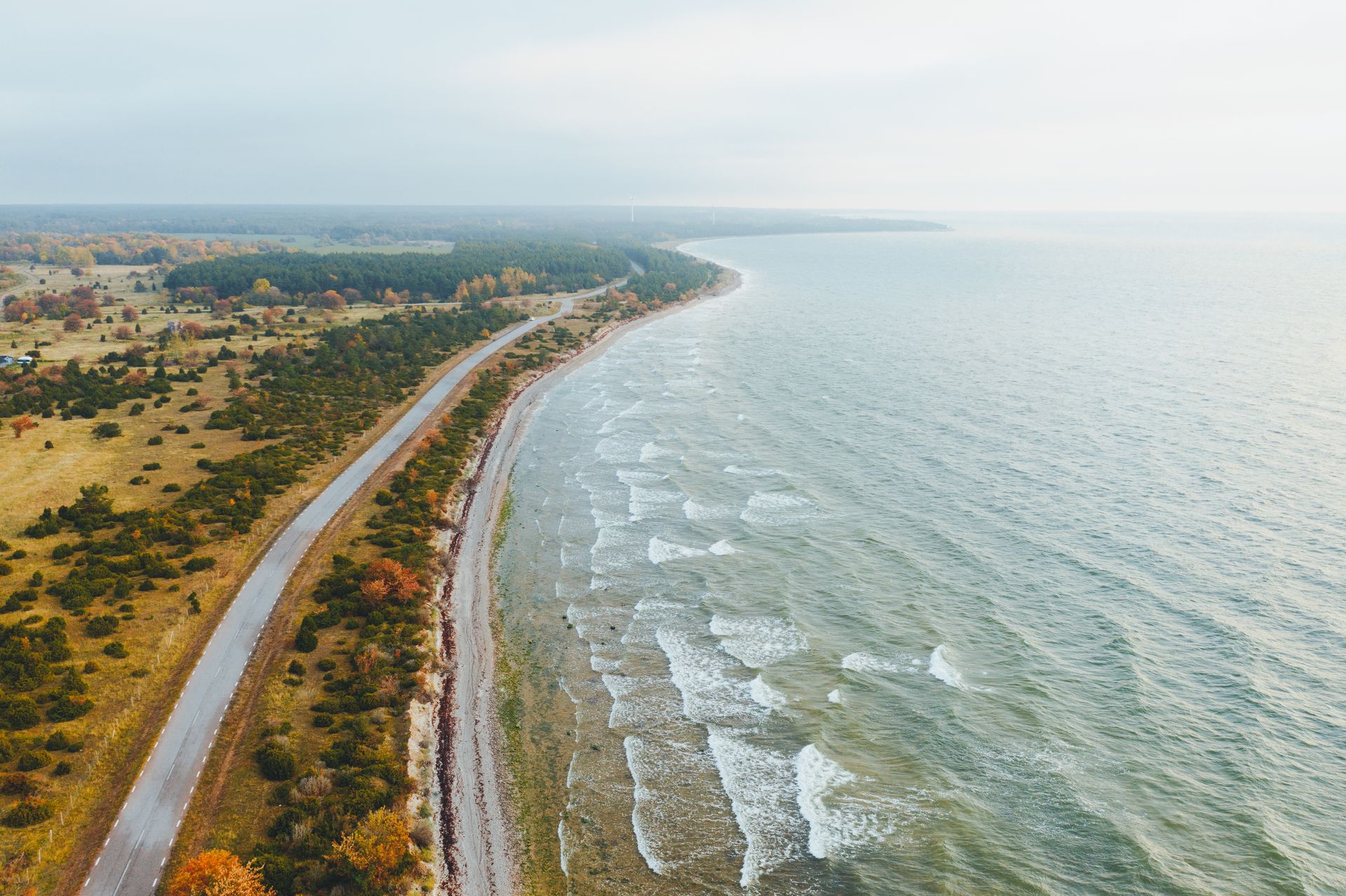 coastal road on the island of Saaremaa