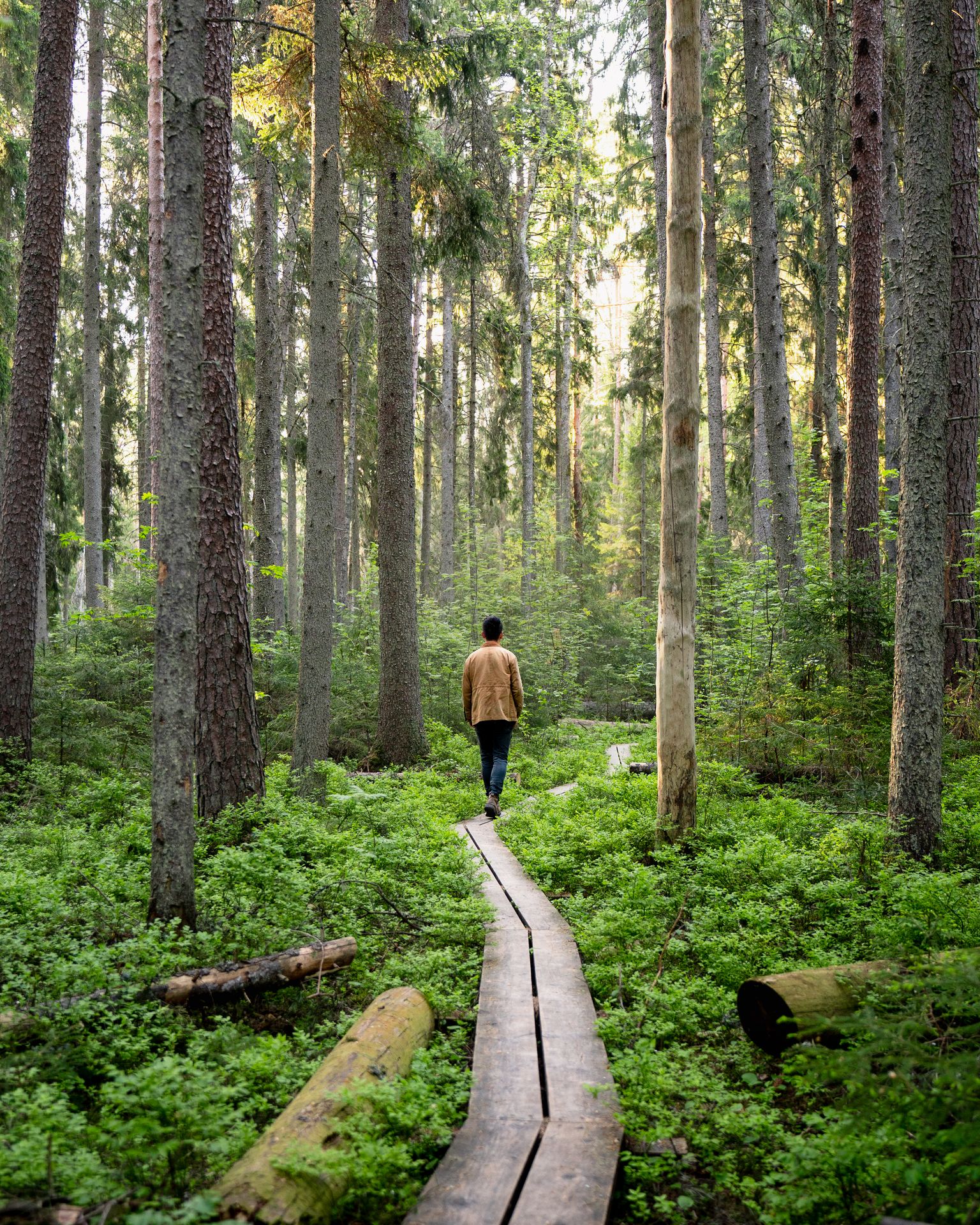 Lahemaa National Park