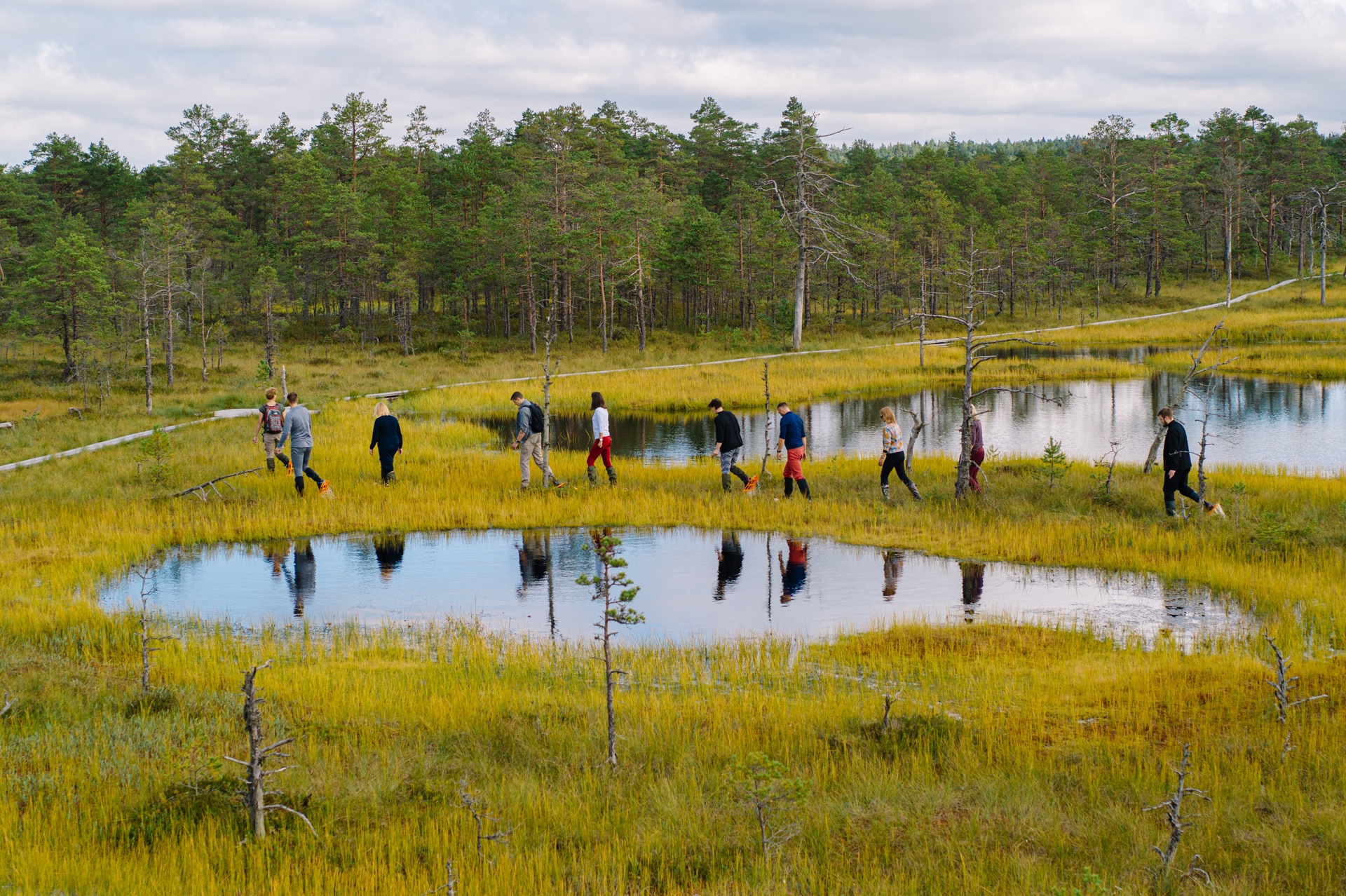 Bogshoeing hike