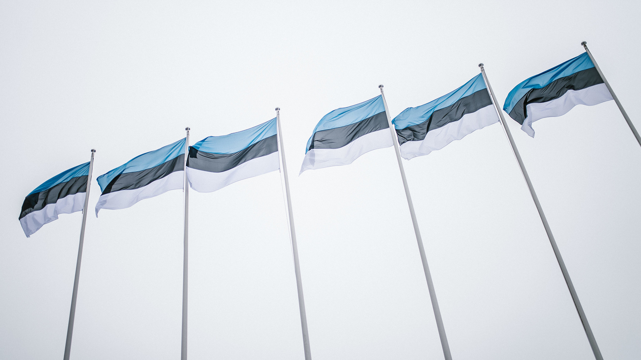 Row of Estonian flags on display for Independence Day