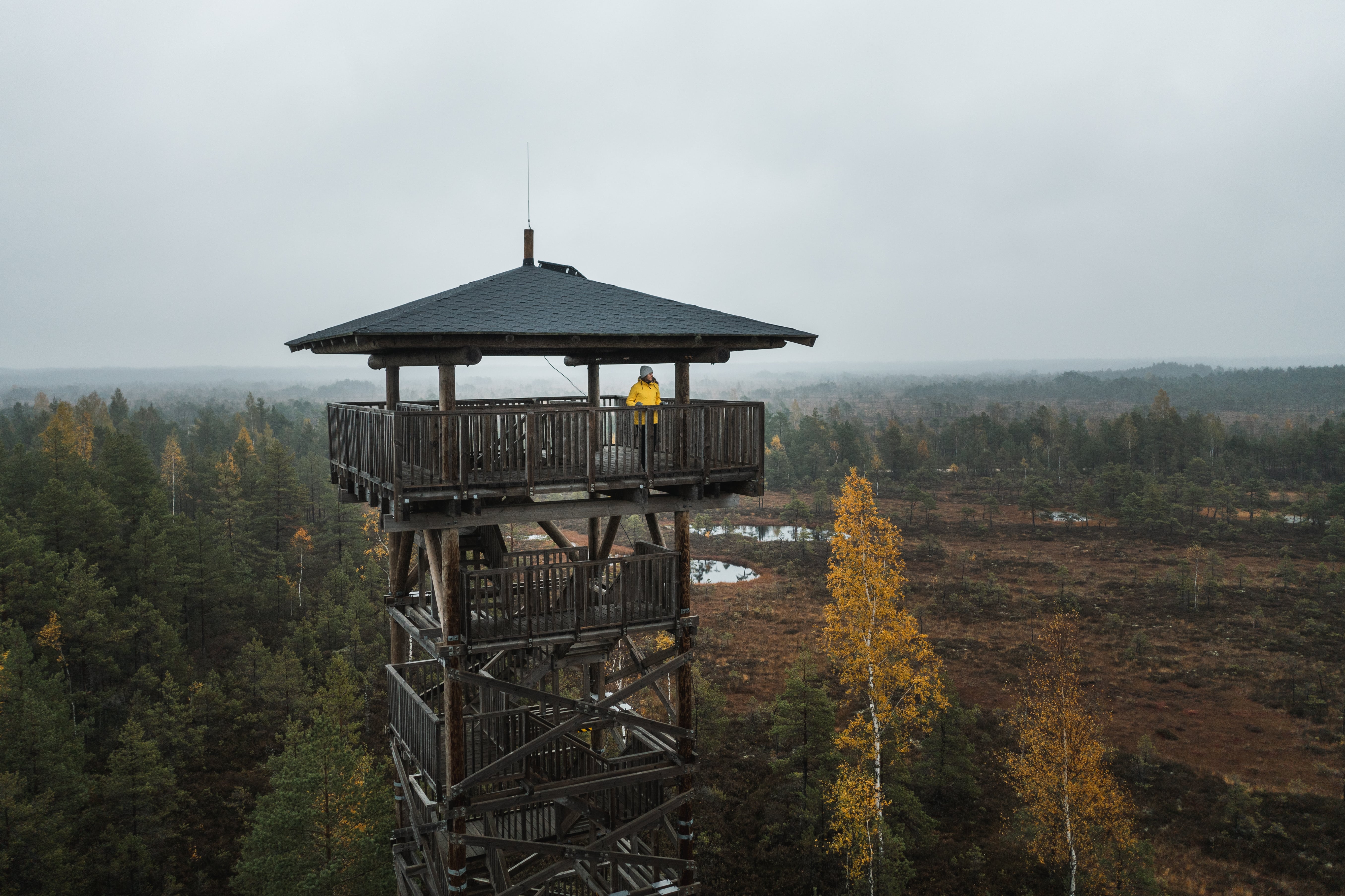 Estonia's long-distance hiking routes