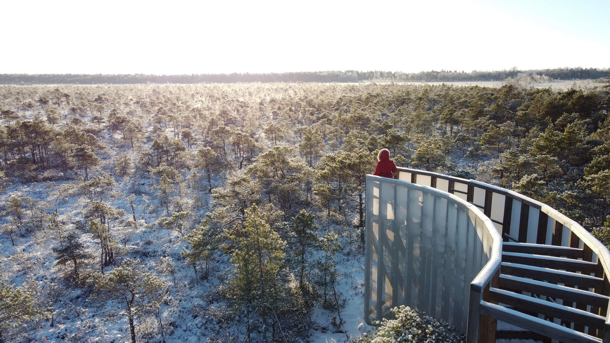 Estonia's long-distance hiking routes