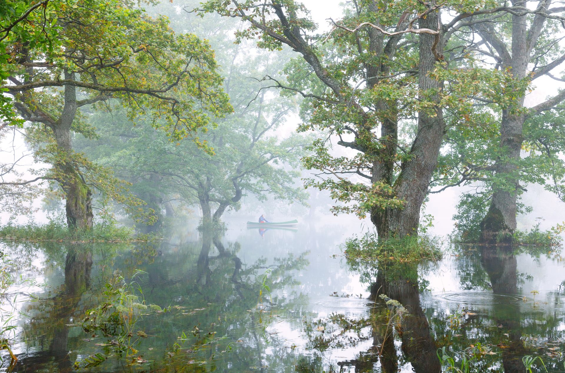 Soomaa rahvuspark