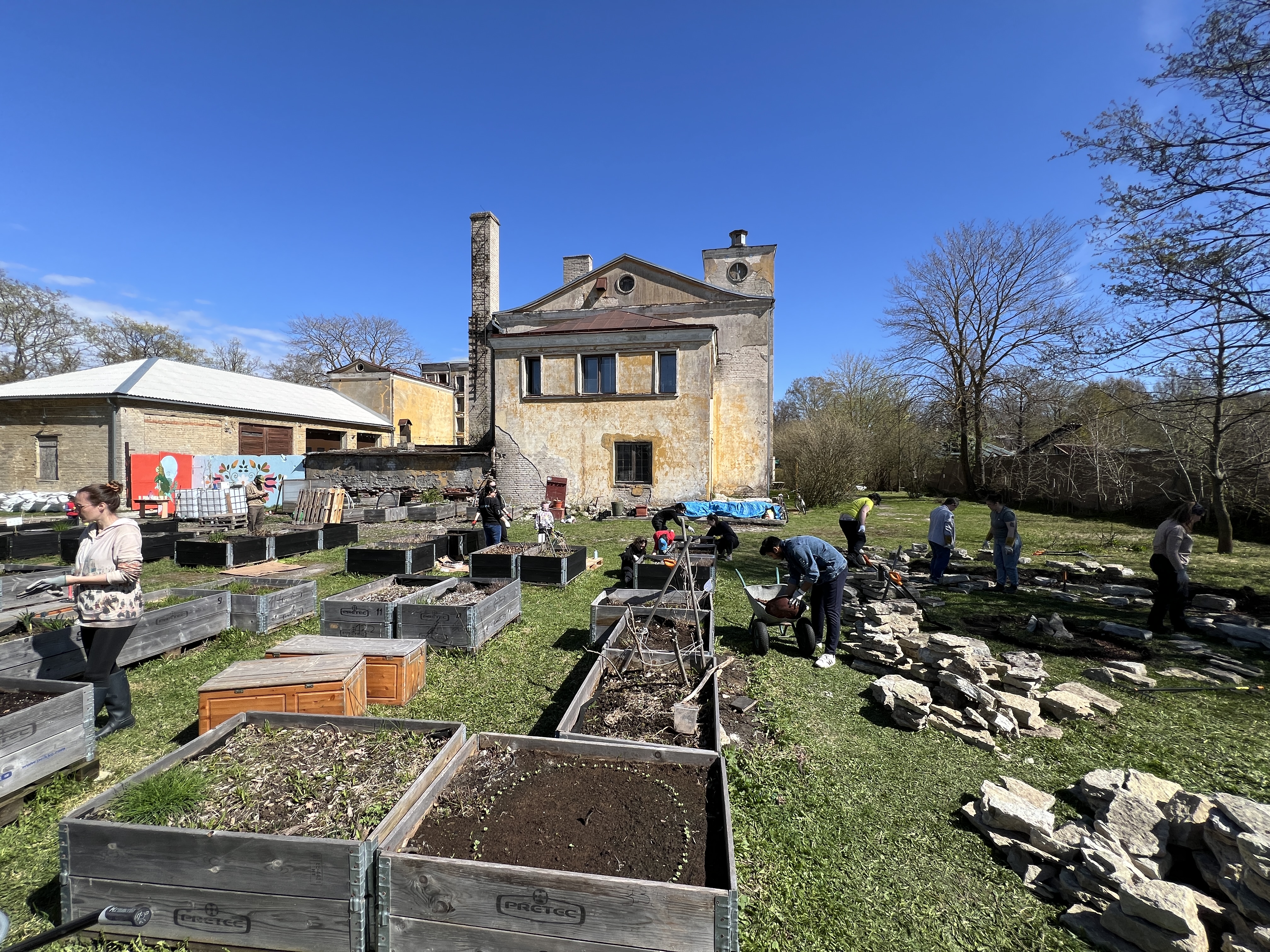 Community garden at Kopli 93 workshop