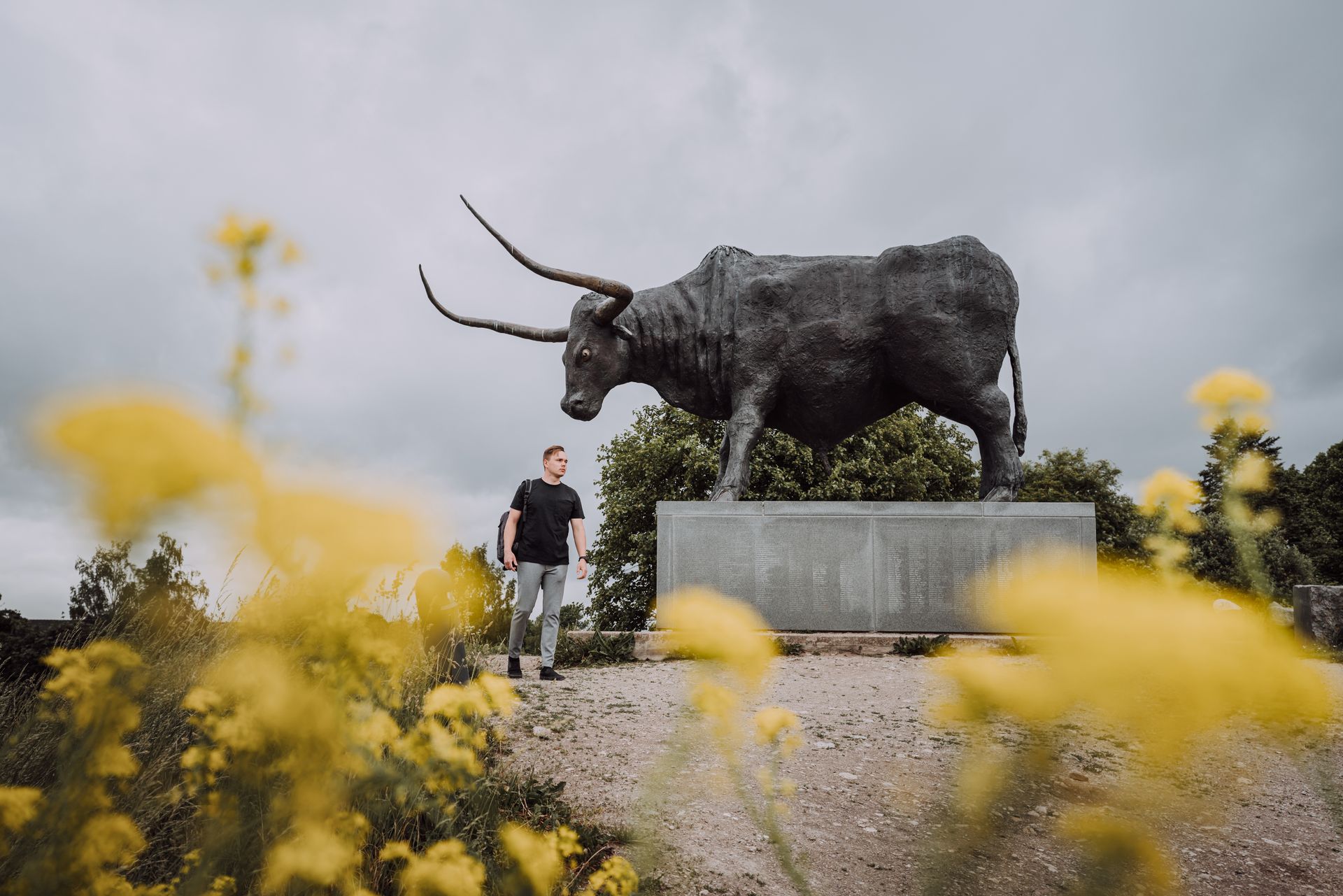 Der Stier von Rakvere