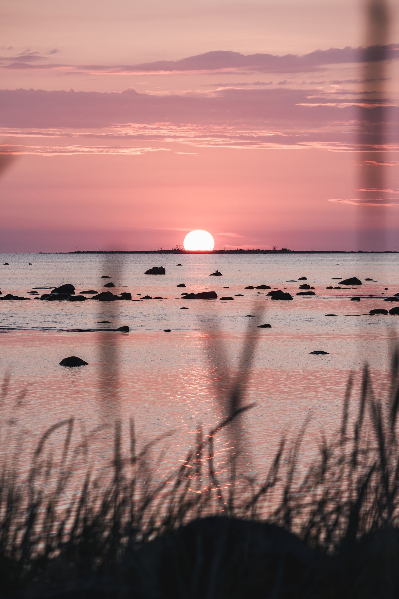 Pikniks saulrietā