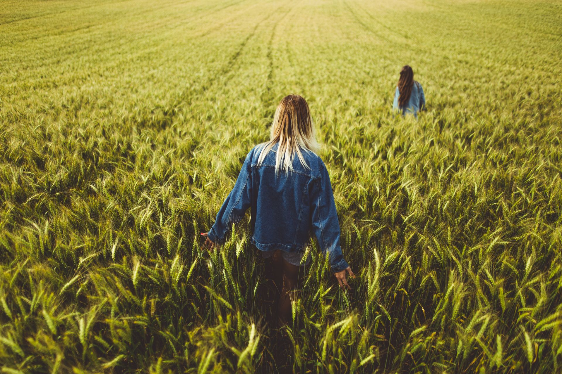 Women walking through rye field in Estonia