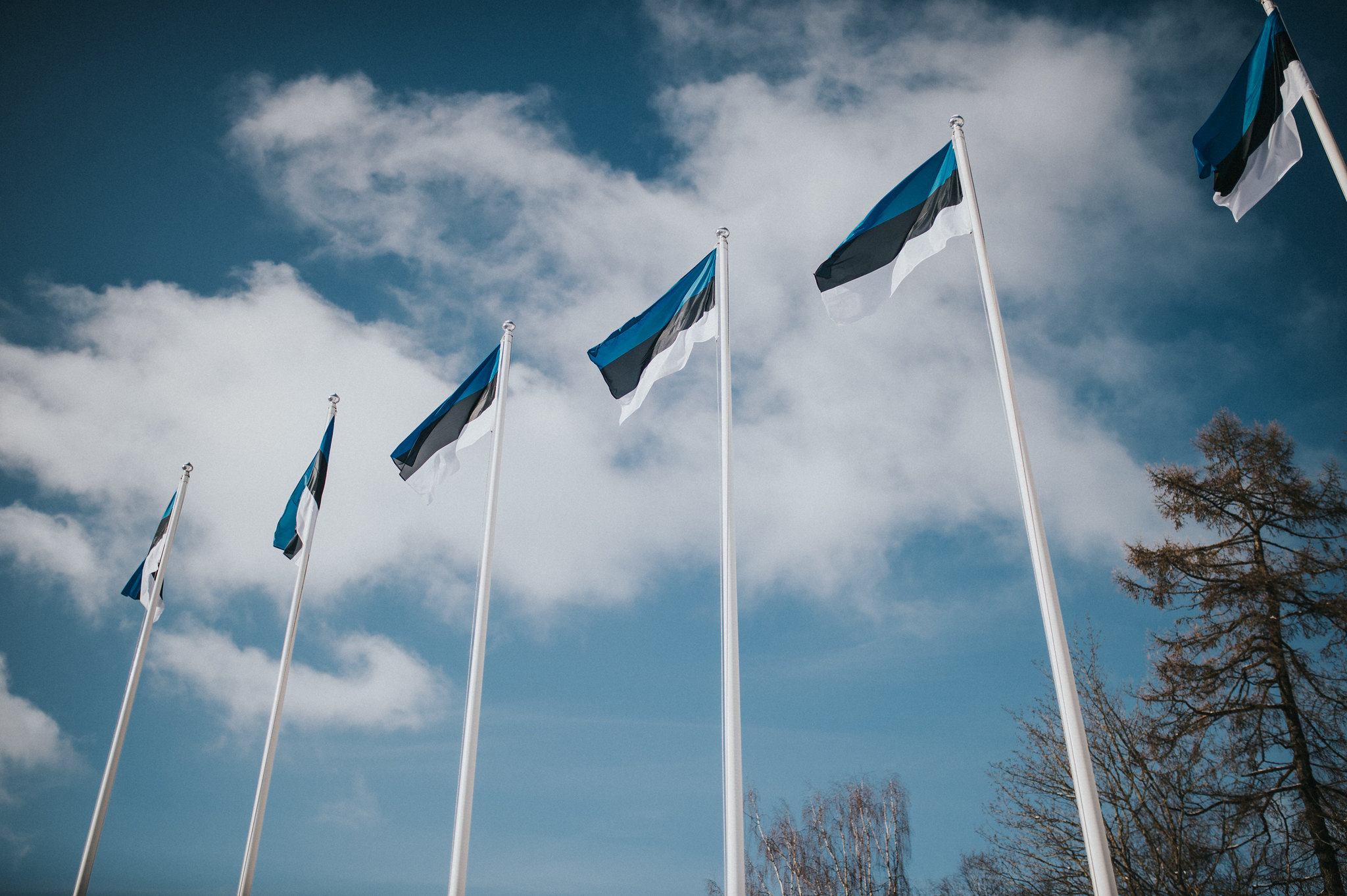 Eesti lipud lehvimas