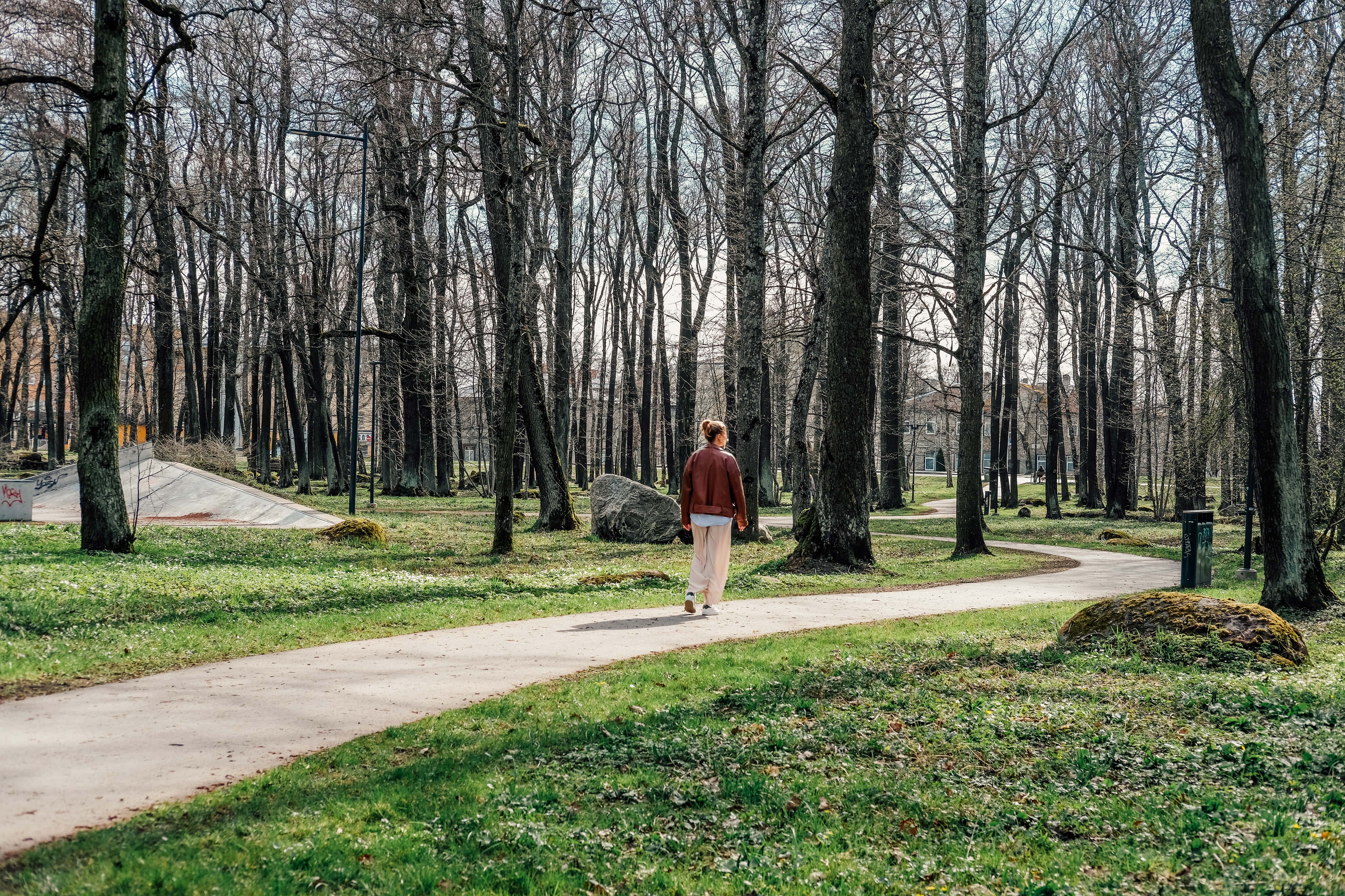 Walking path through birch trees in Kase Park