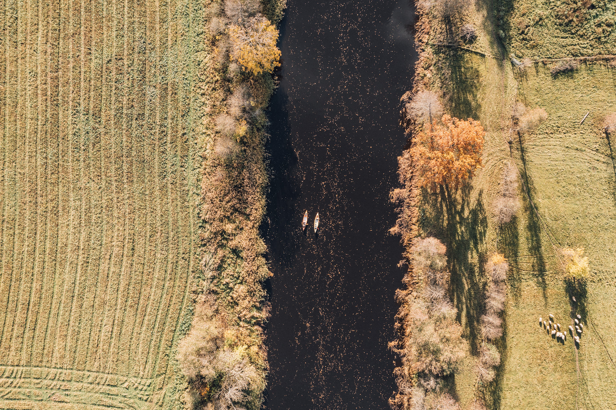 Ringeis Soomaale – avasta lodust ja elamusi