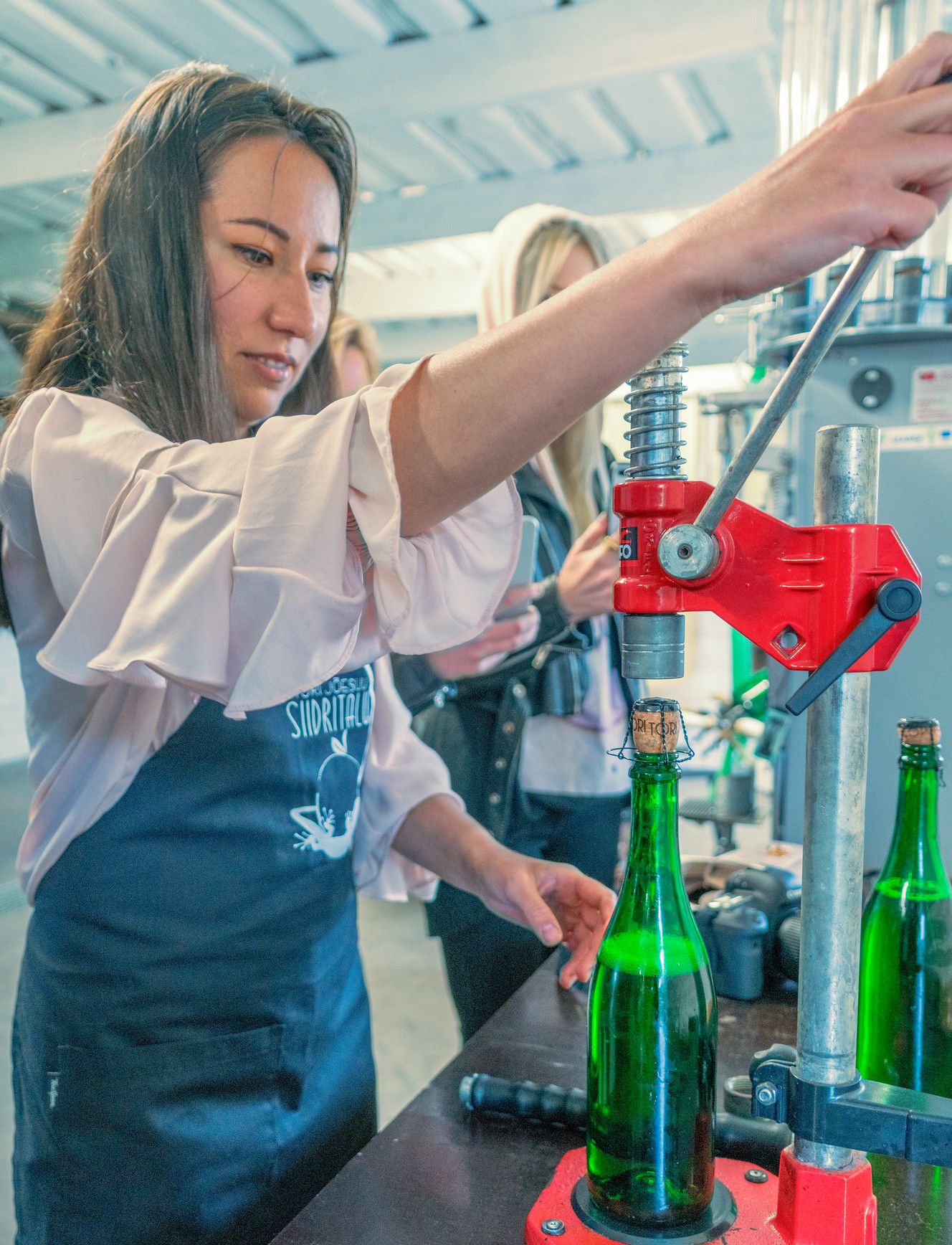 Tori Sidru saimniecības sidru gatavošana