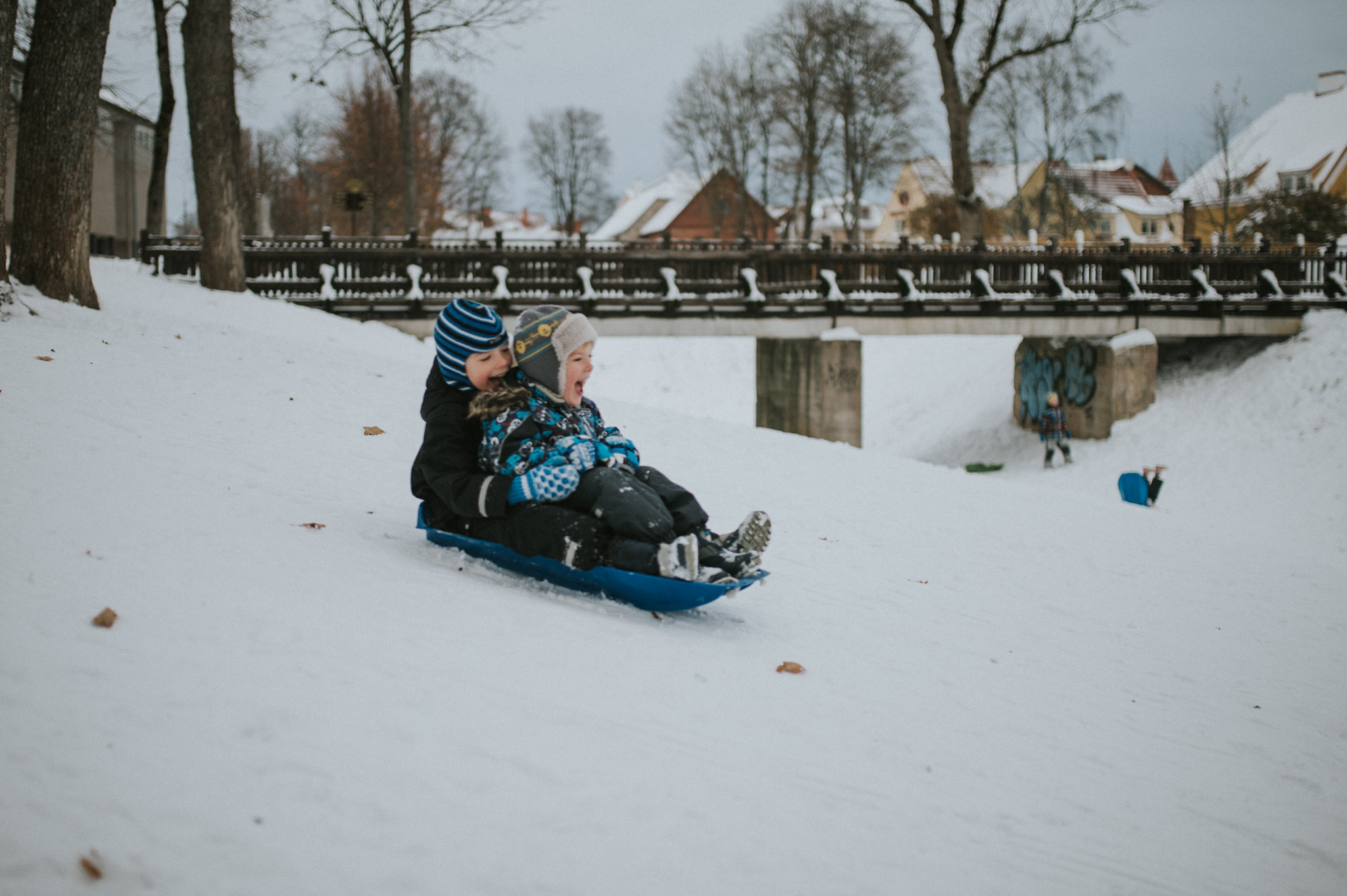 Boys sledding during winter holidays in Estonia