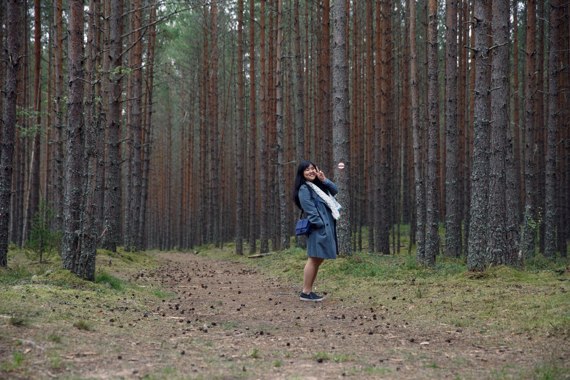 Naine metsas