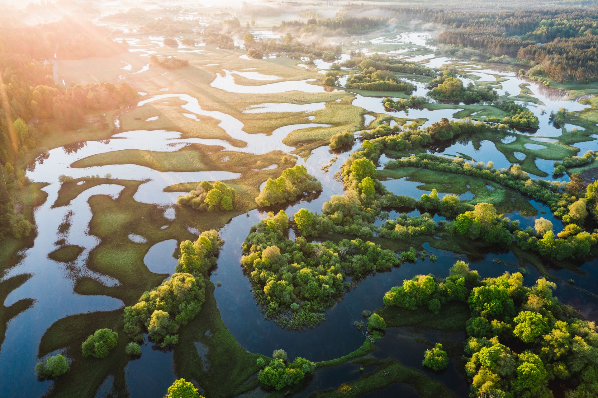 Vaade Mustjõele linnulennult