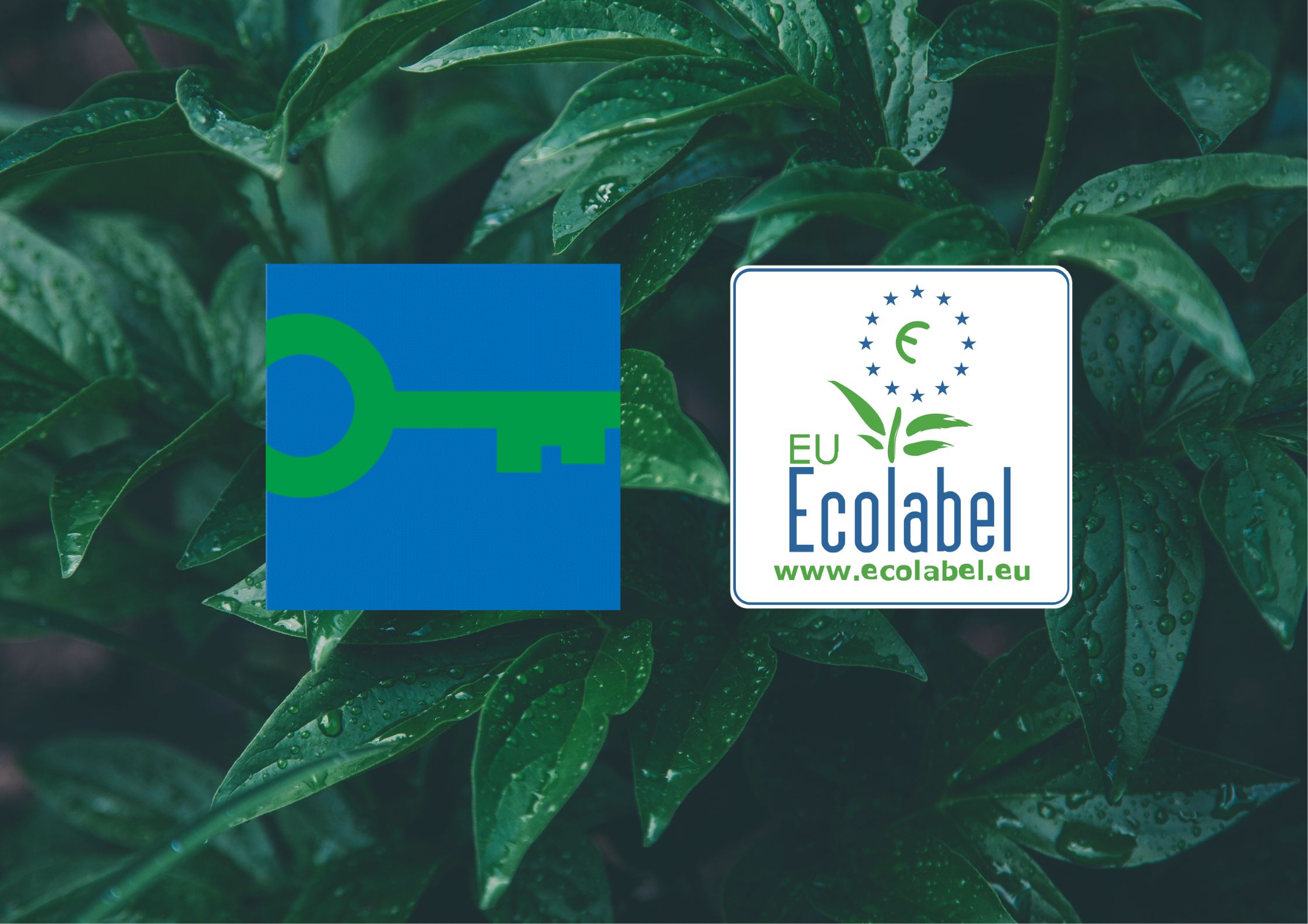 Euroopa Liidu ökomärgis ja Green Key – mida toob tulevik?