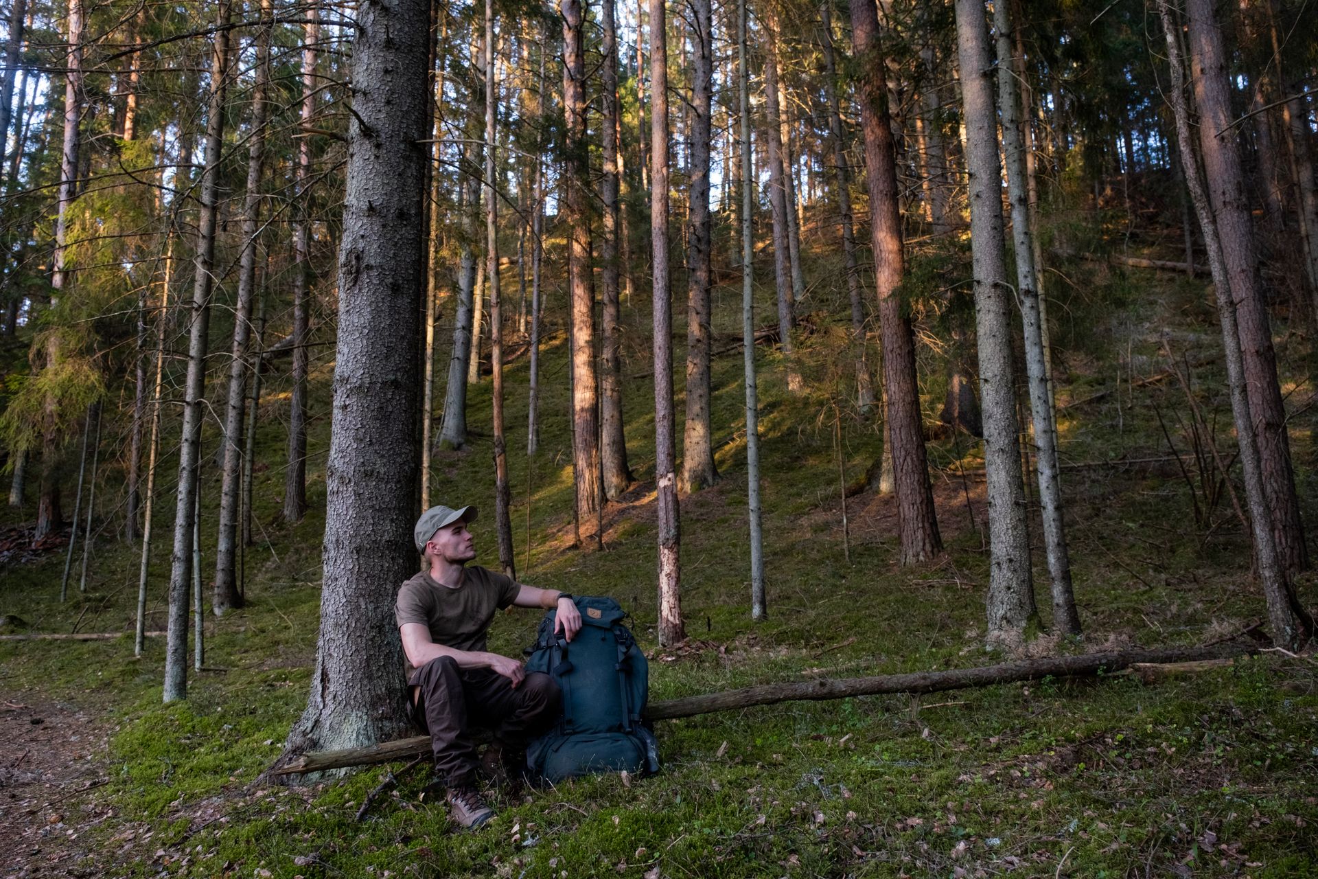 hiker in forest