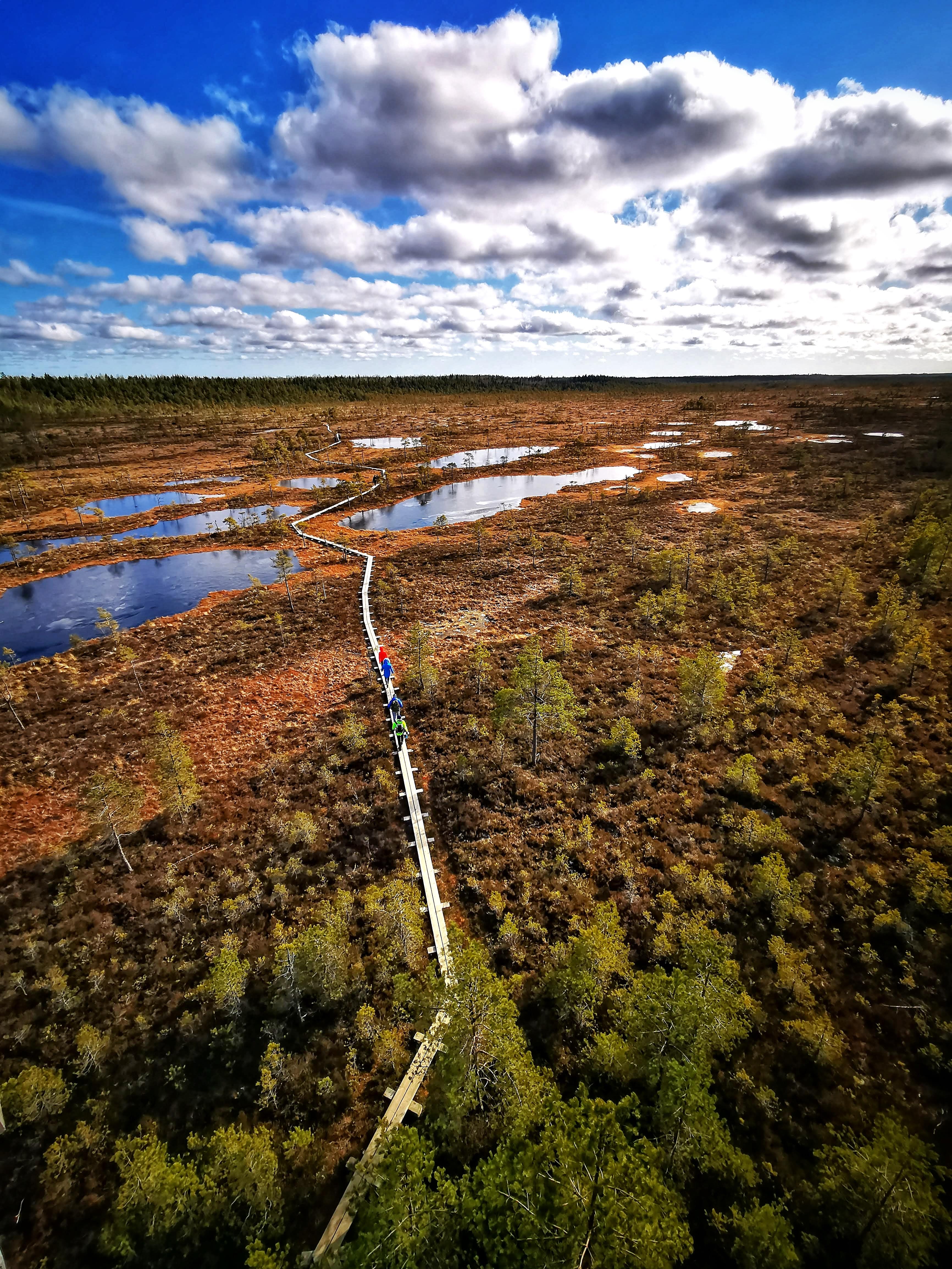 Skats uz purvu no augšas ar laipām un akačiem