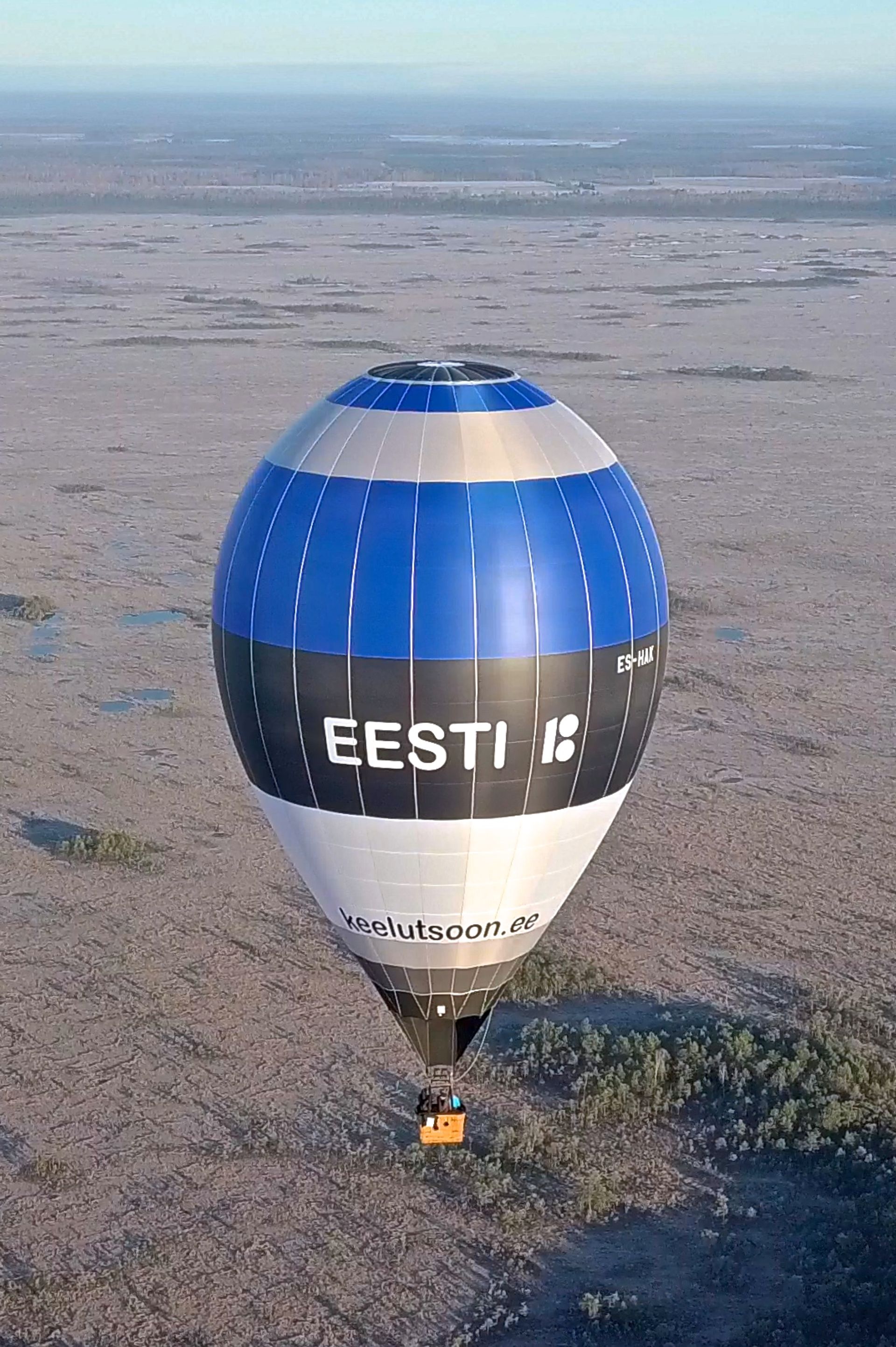 A hot air balloon gliding over the bog