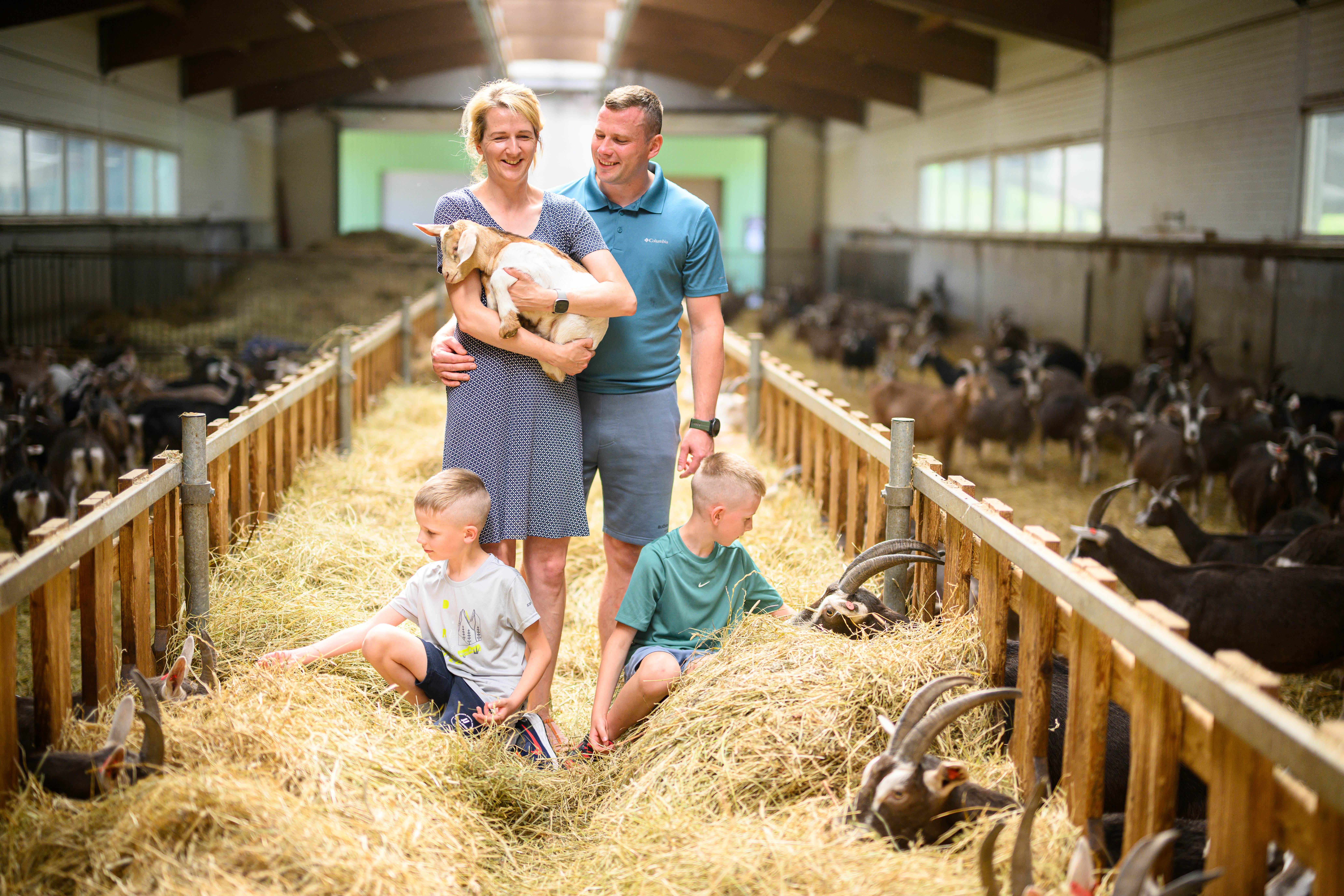 Četru cilvēku Andri-Peedo kazu fermas ģimene fermā