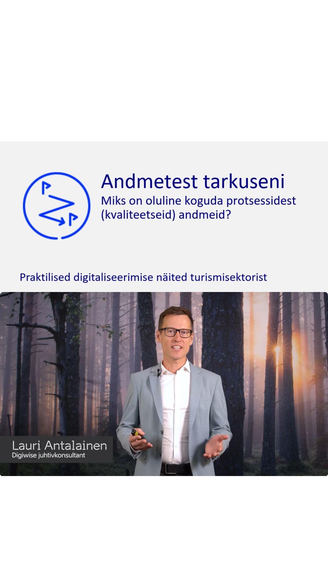 Digiwise Lauri Antalainen