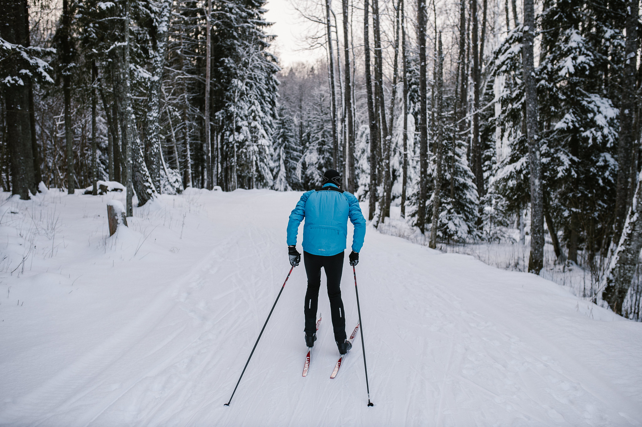 Man goes cross-country skiing in snowy forest in South Estonia