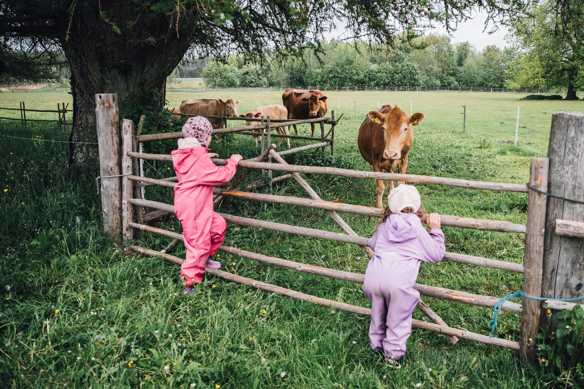C. R. Jakobsoni maatilamuseossa