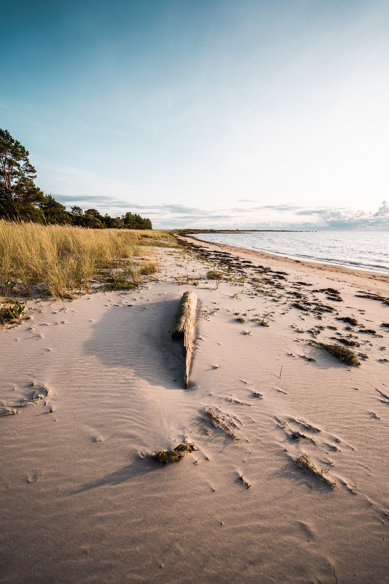 Matsi Beach in Pärnu County