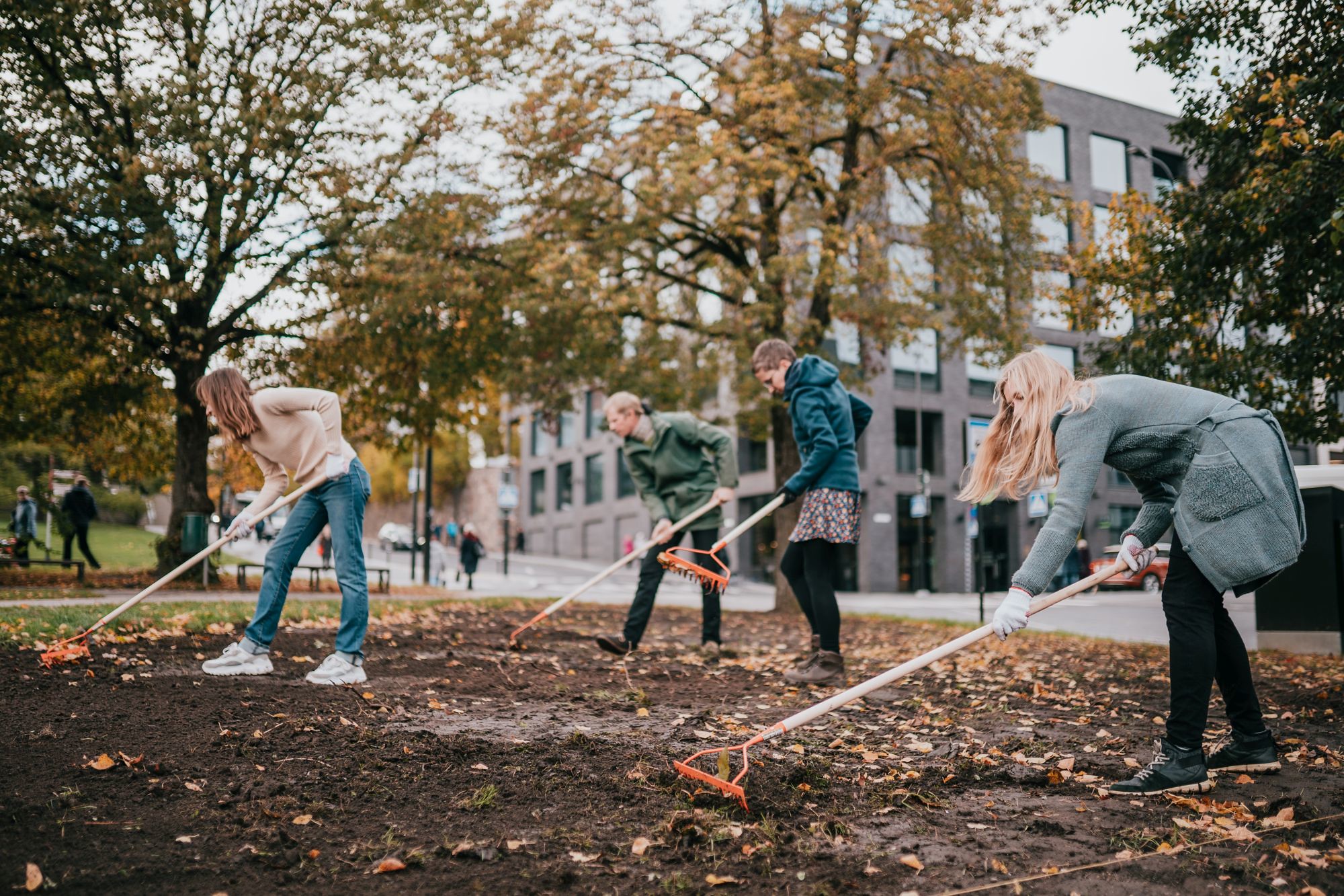 Autumn works in Tartu city