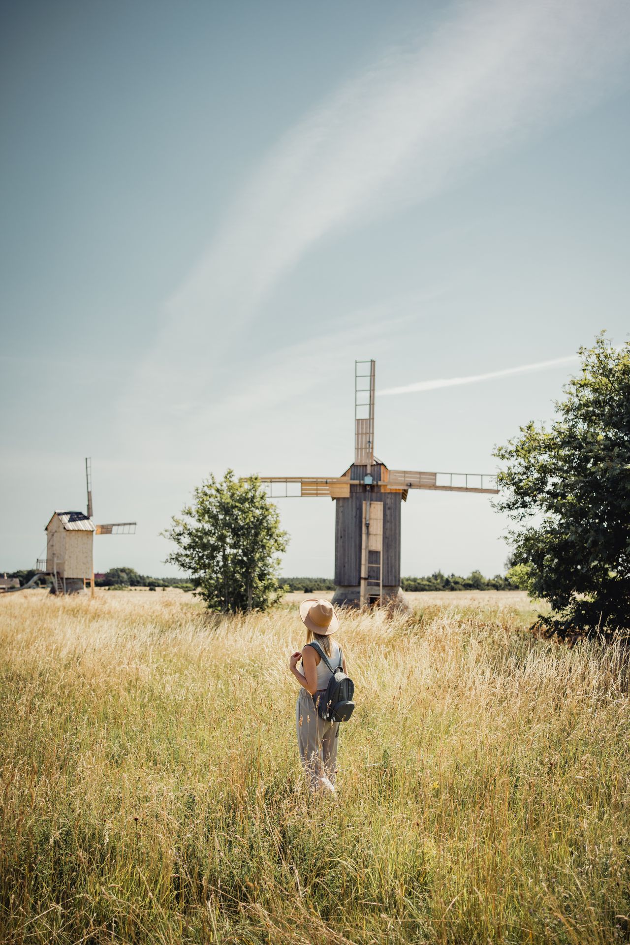 Naine põllul ja kaks tuuleveskit