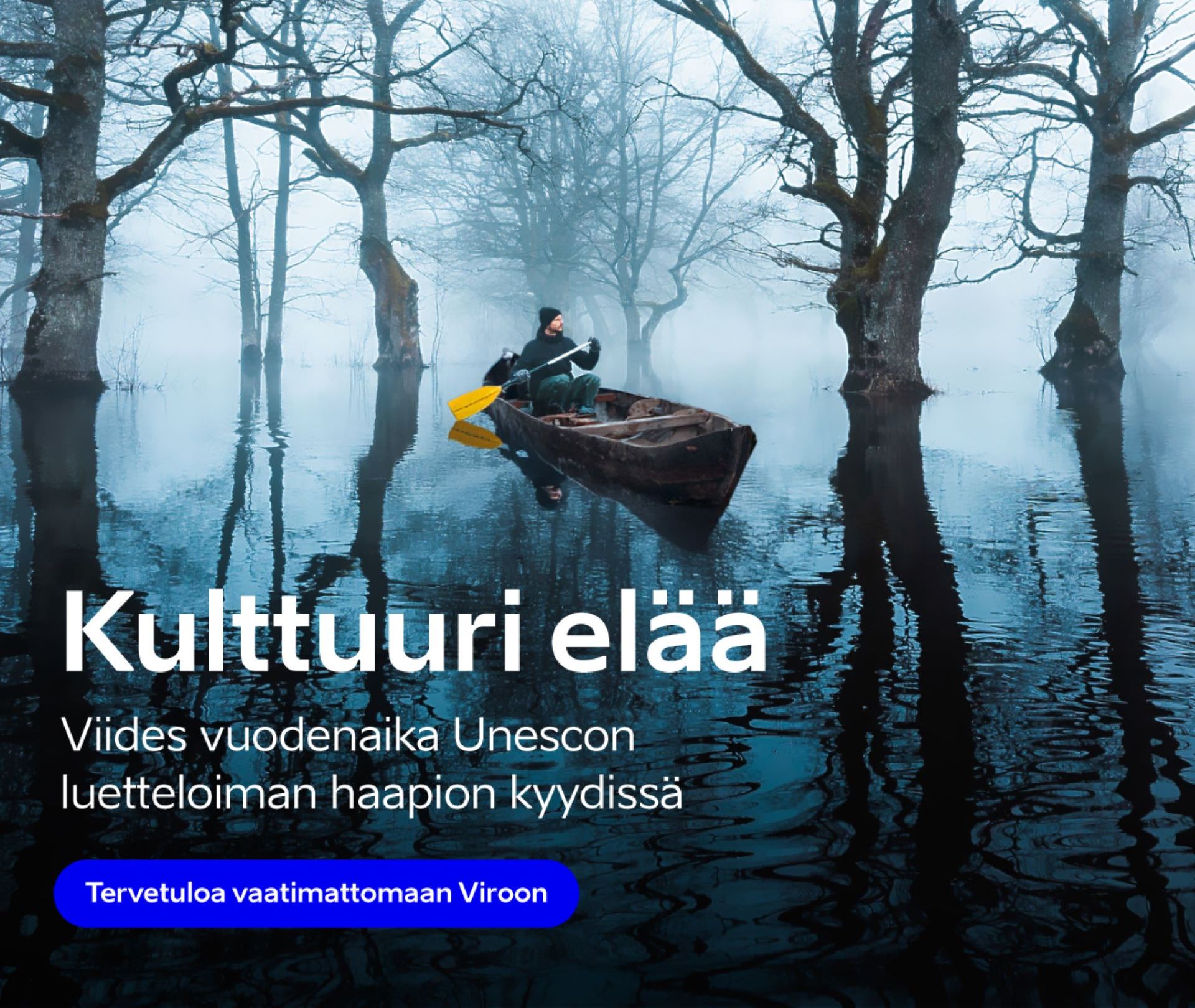 Soome kampaania bänner