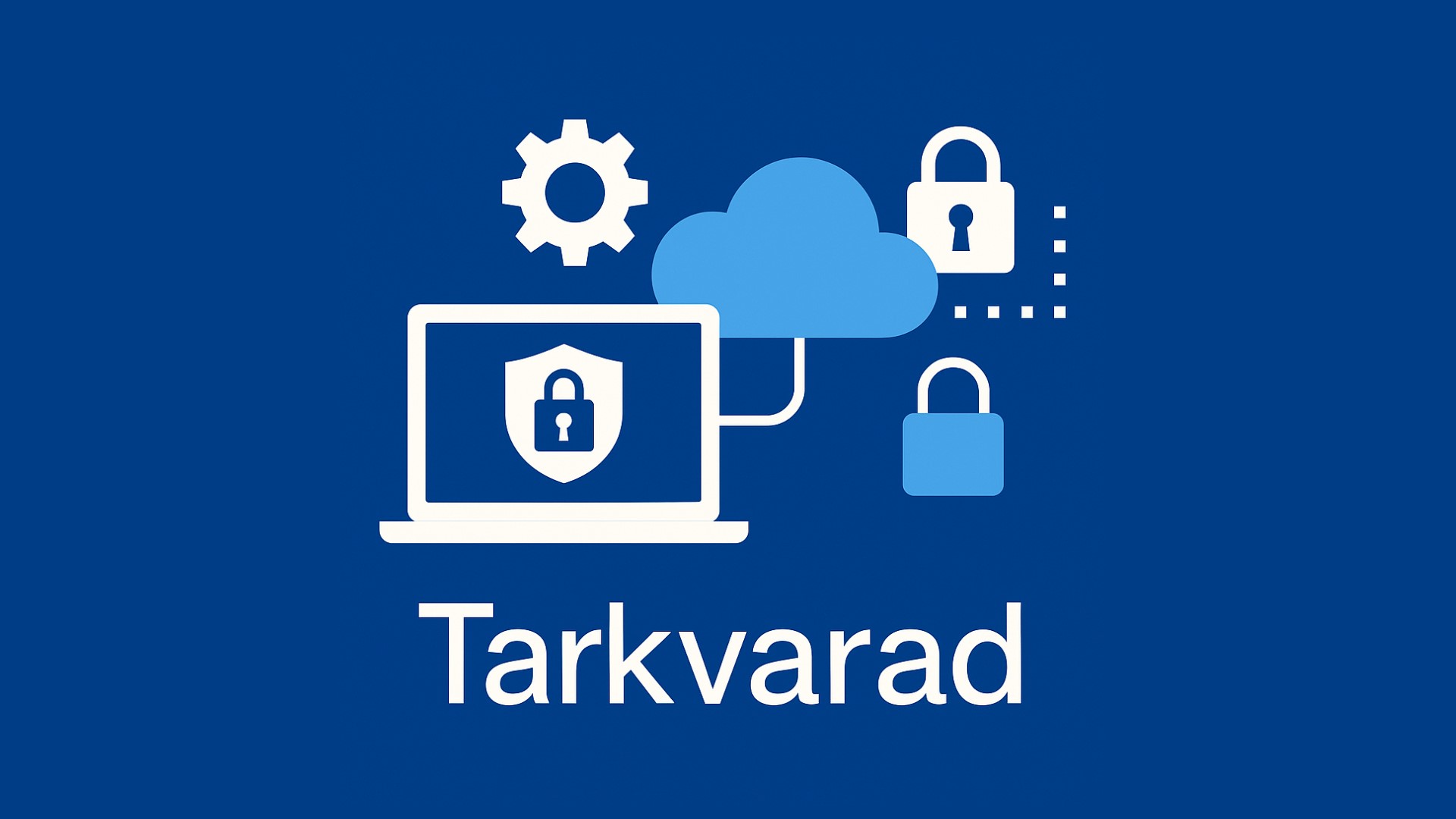 Tarkvarasid kujutav pilt