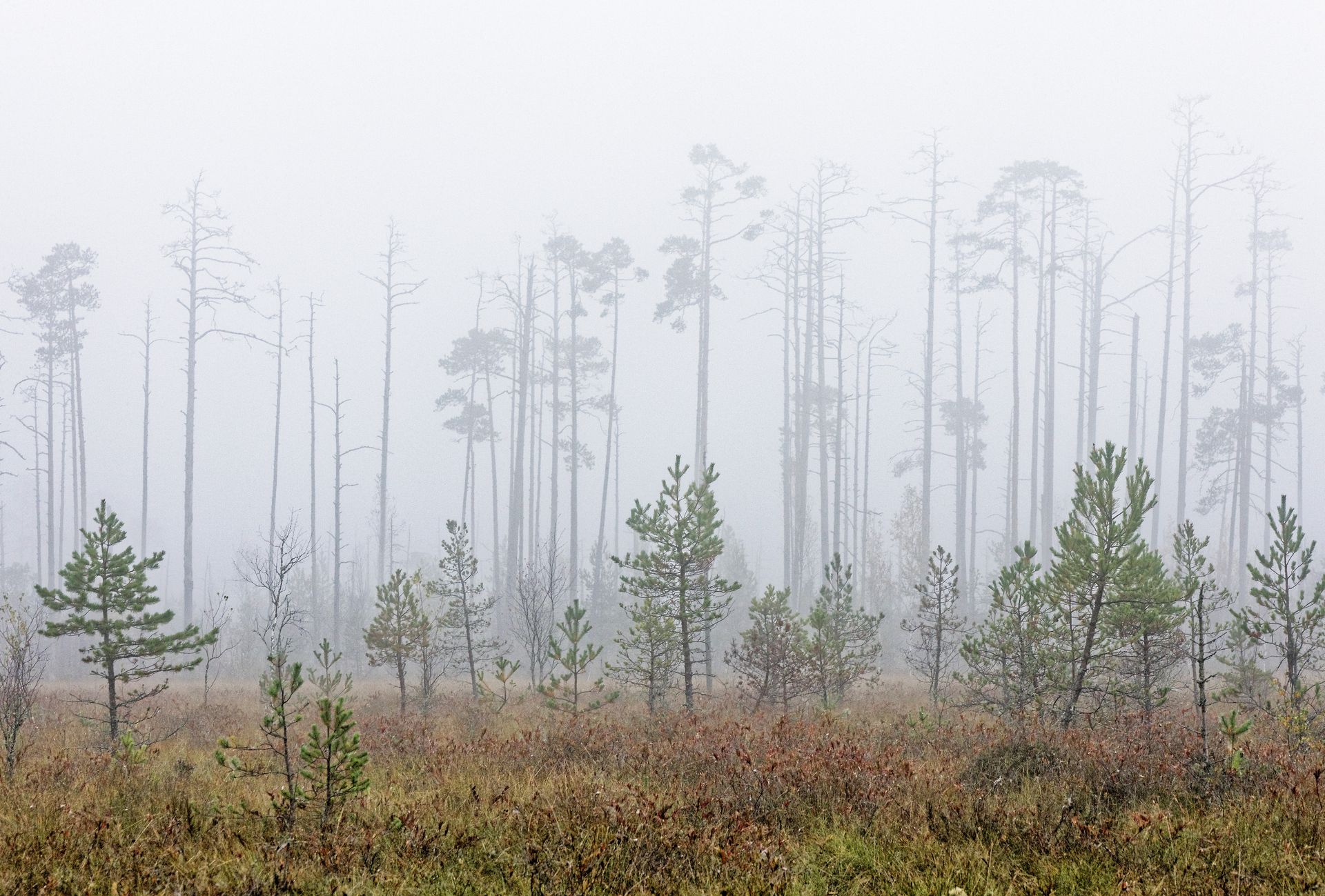 National parks in Estonia