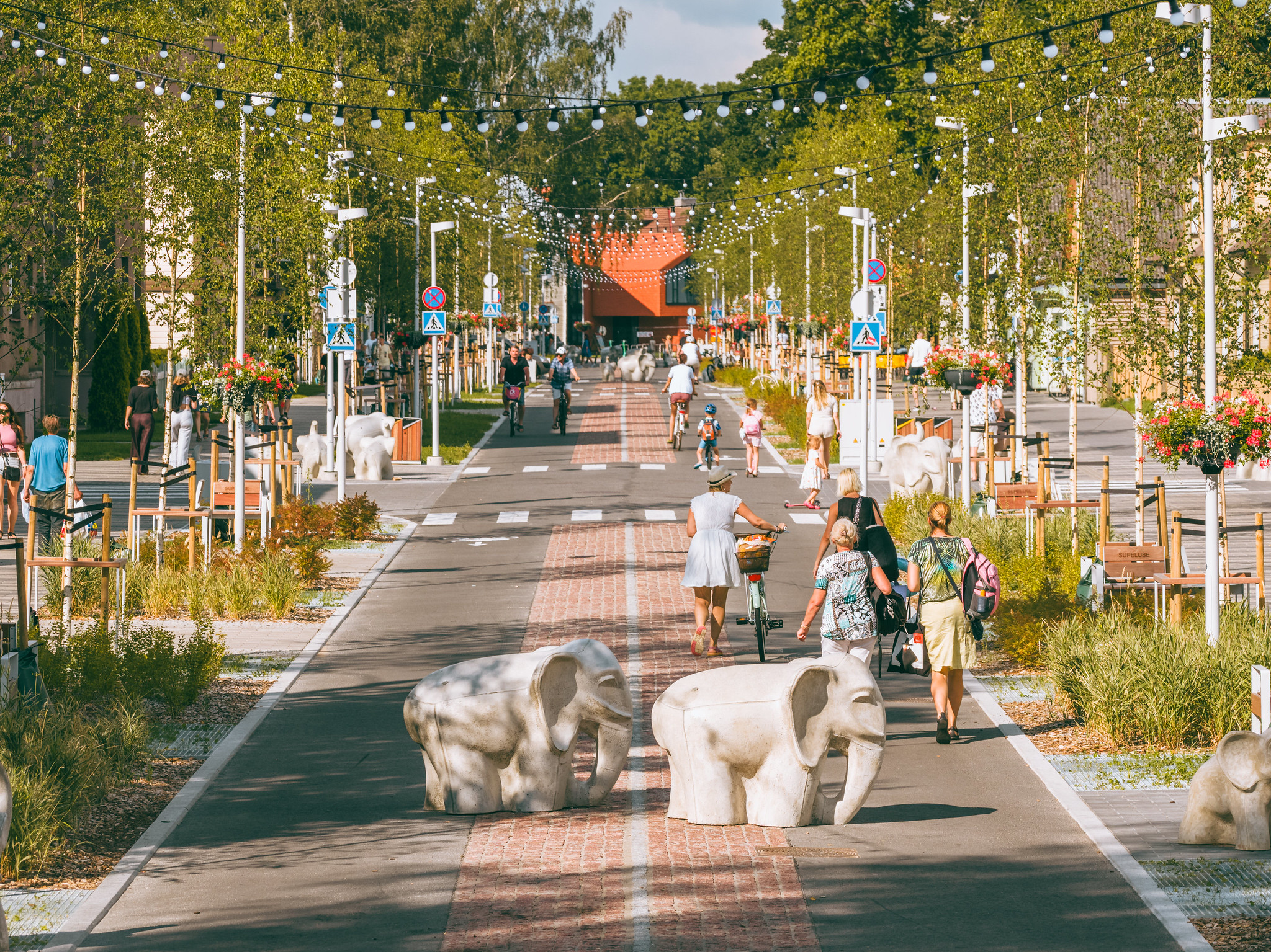 Pērnavas Supeluses ielas ziloņi