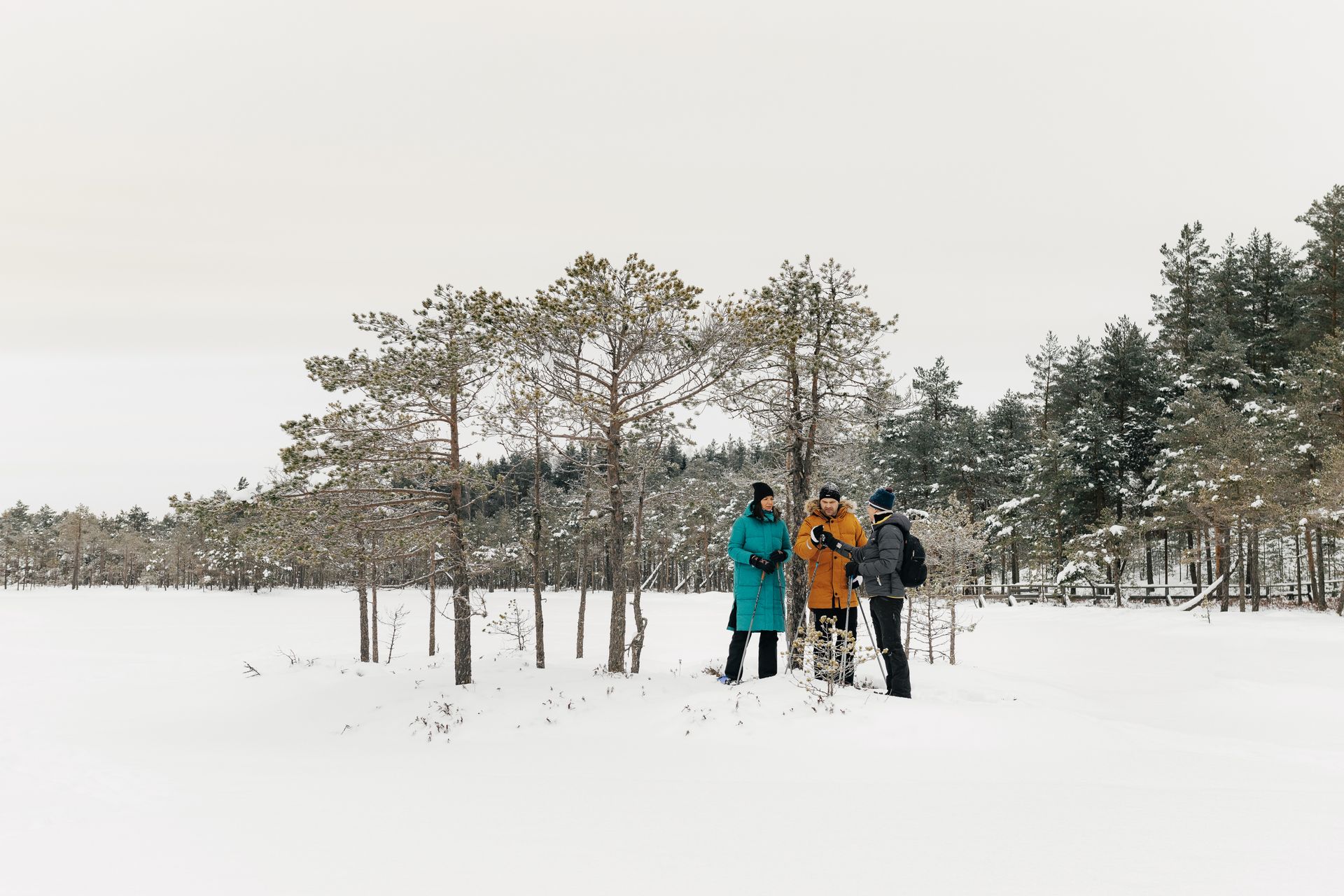 Ringikujulised matkarajad Põhja-Eestis