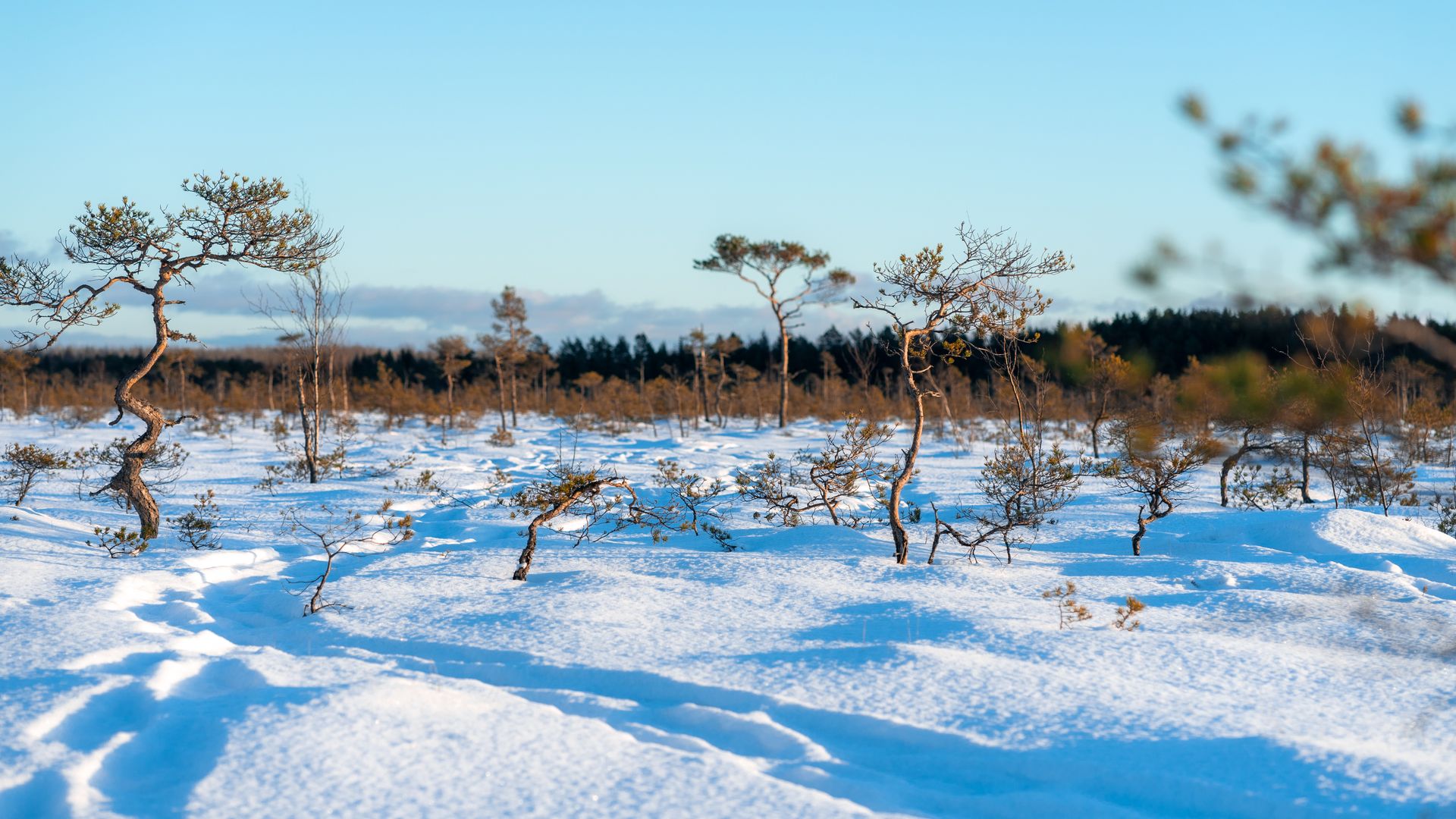 Raba- ja matkarajad, mida on lihtne läbida lapsevankri või ratastooliga